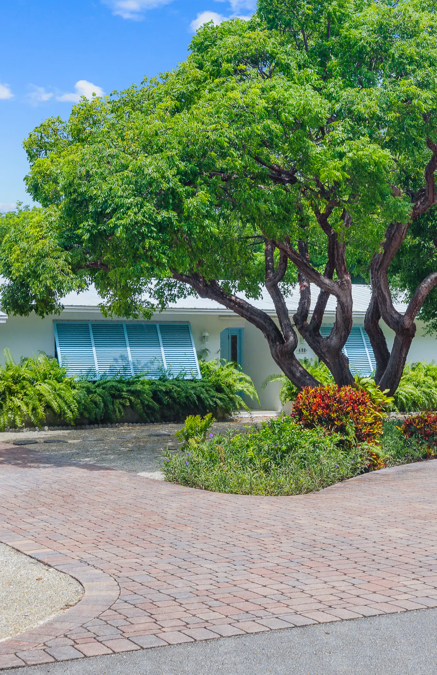 Ouellette Oasis