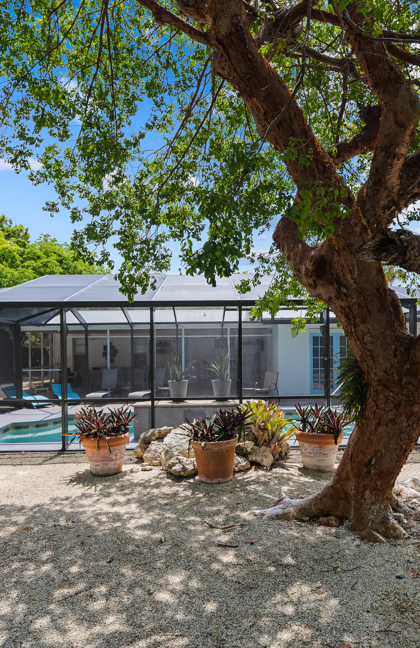 Ouellette Oasis