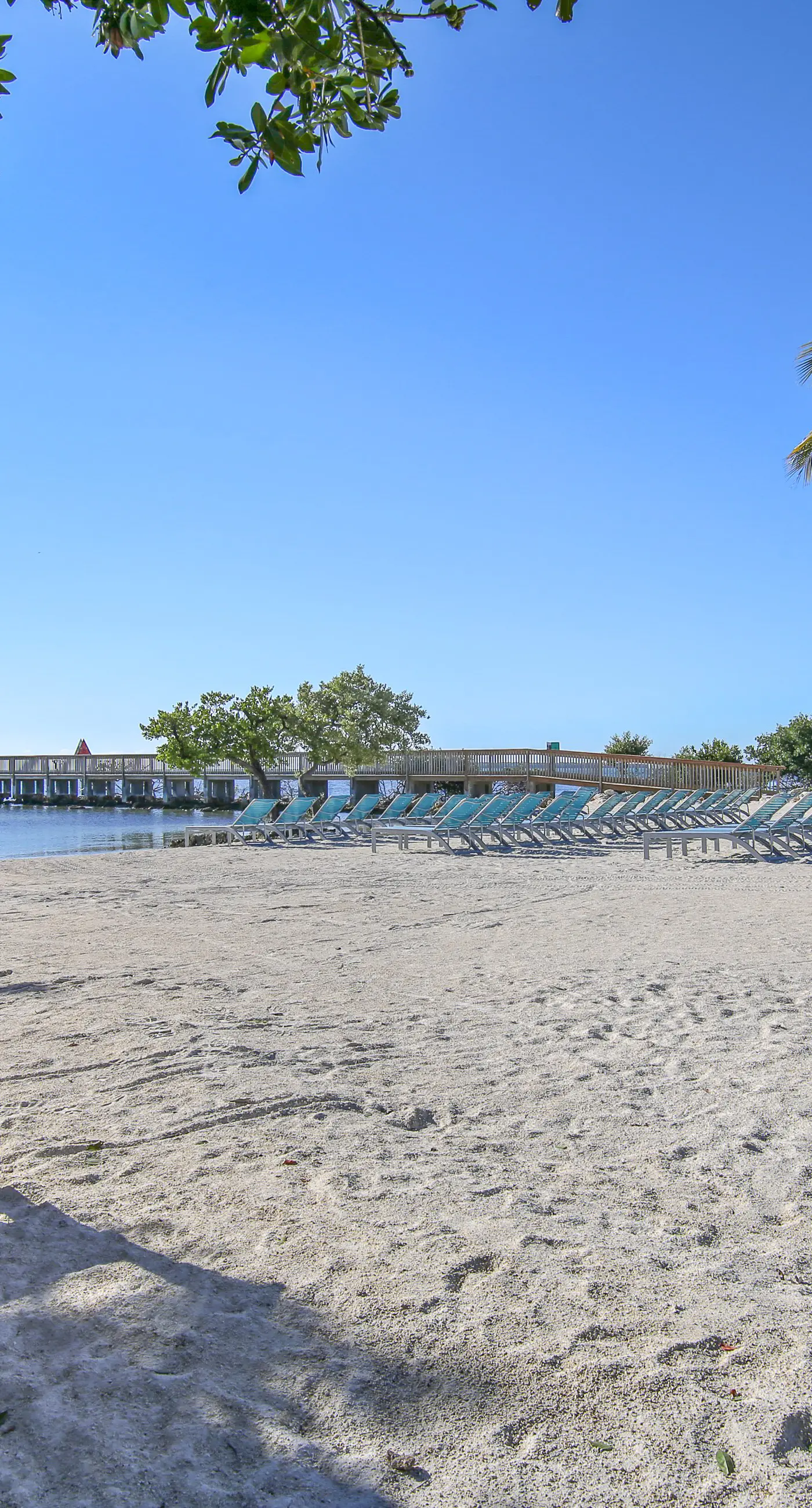 Oceanside Retreat - Ocean Pointe #4311