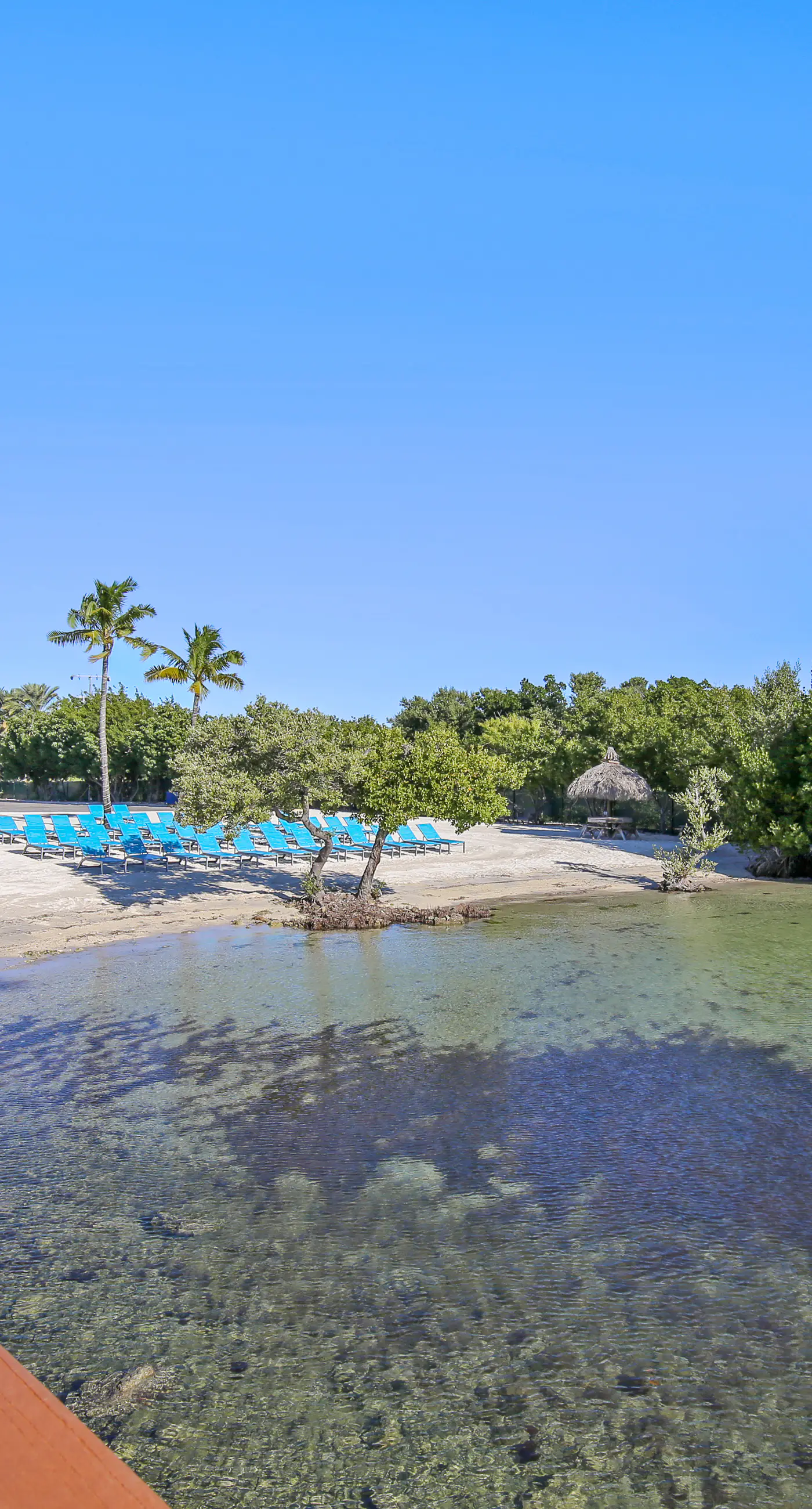 Oceanside Retreat - Ocean Pointe #4311
