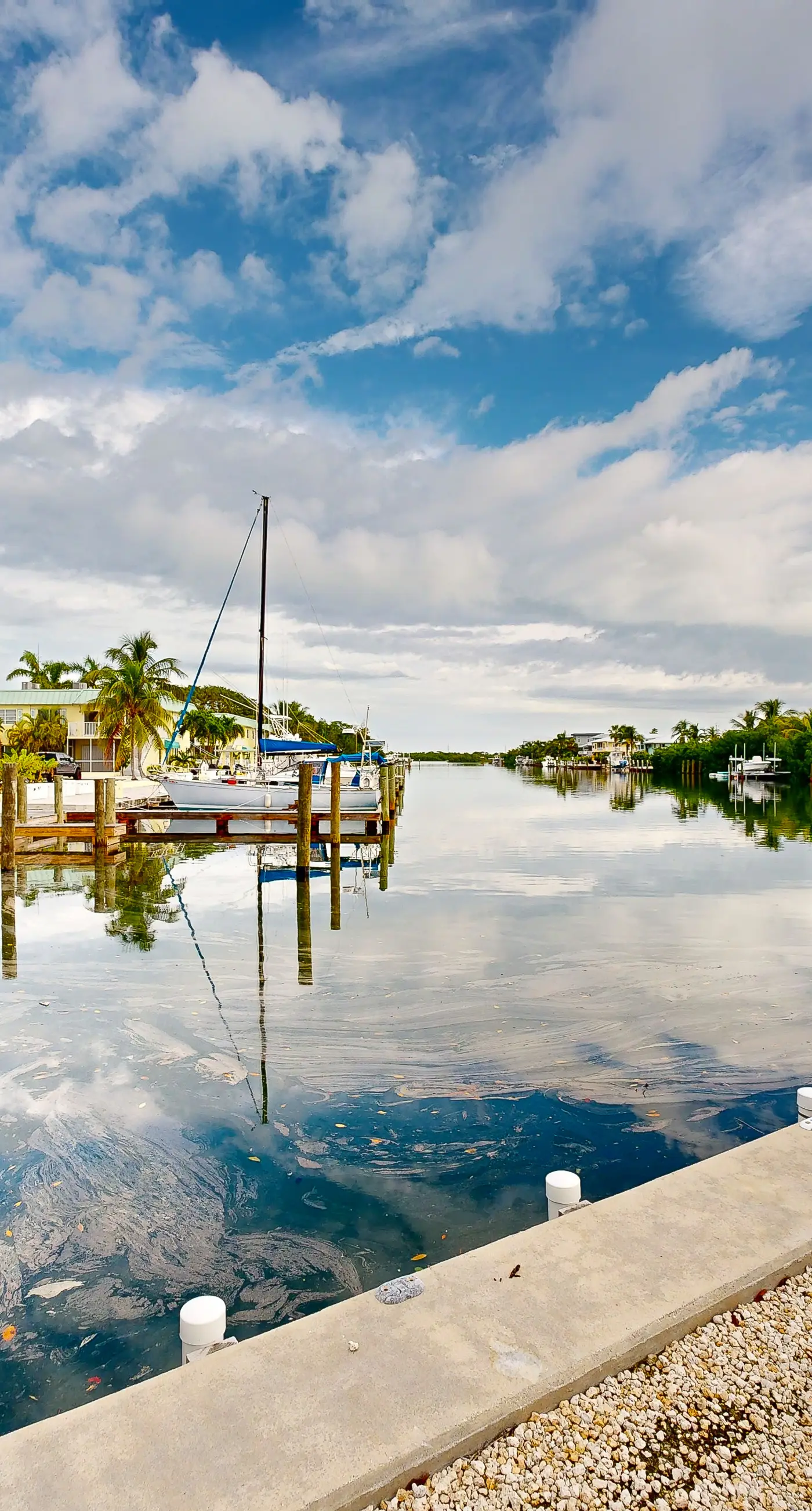 Coco Plum Oasis