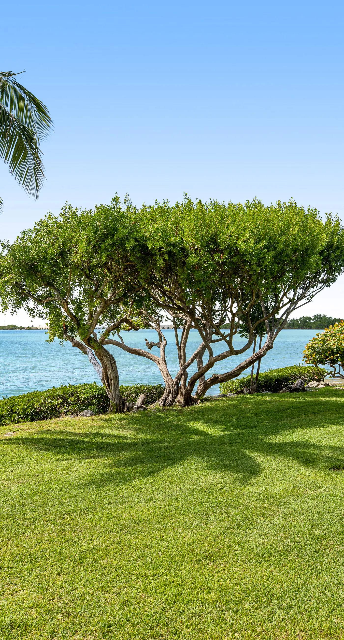Palm Breeze - Villa 5030