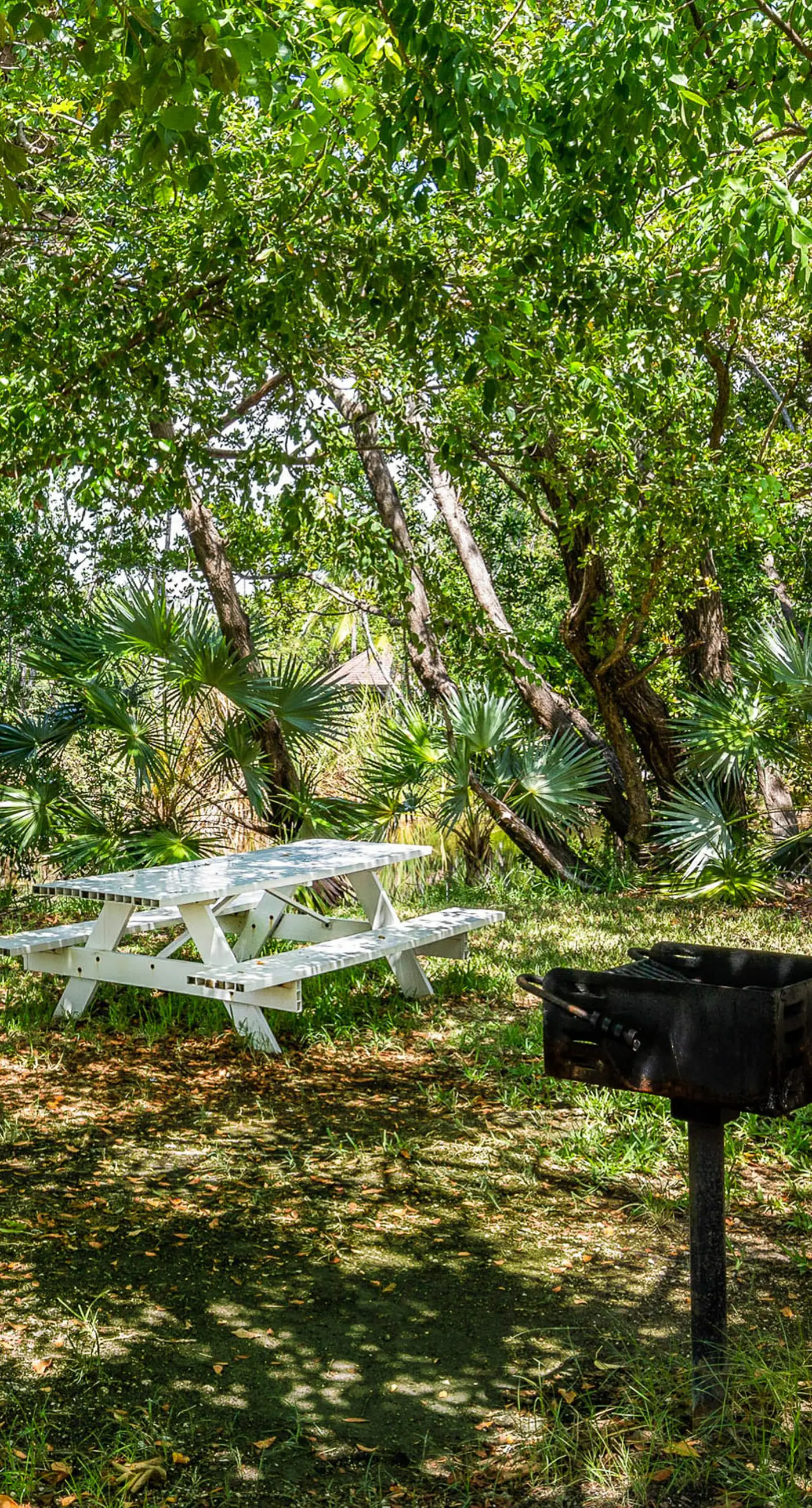 Sunrise Suites - Big Kahuna Suite 202