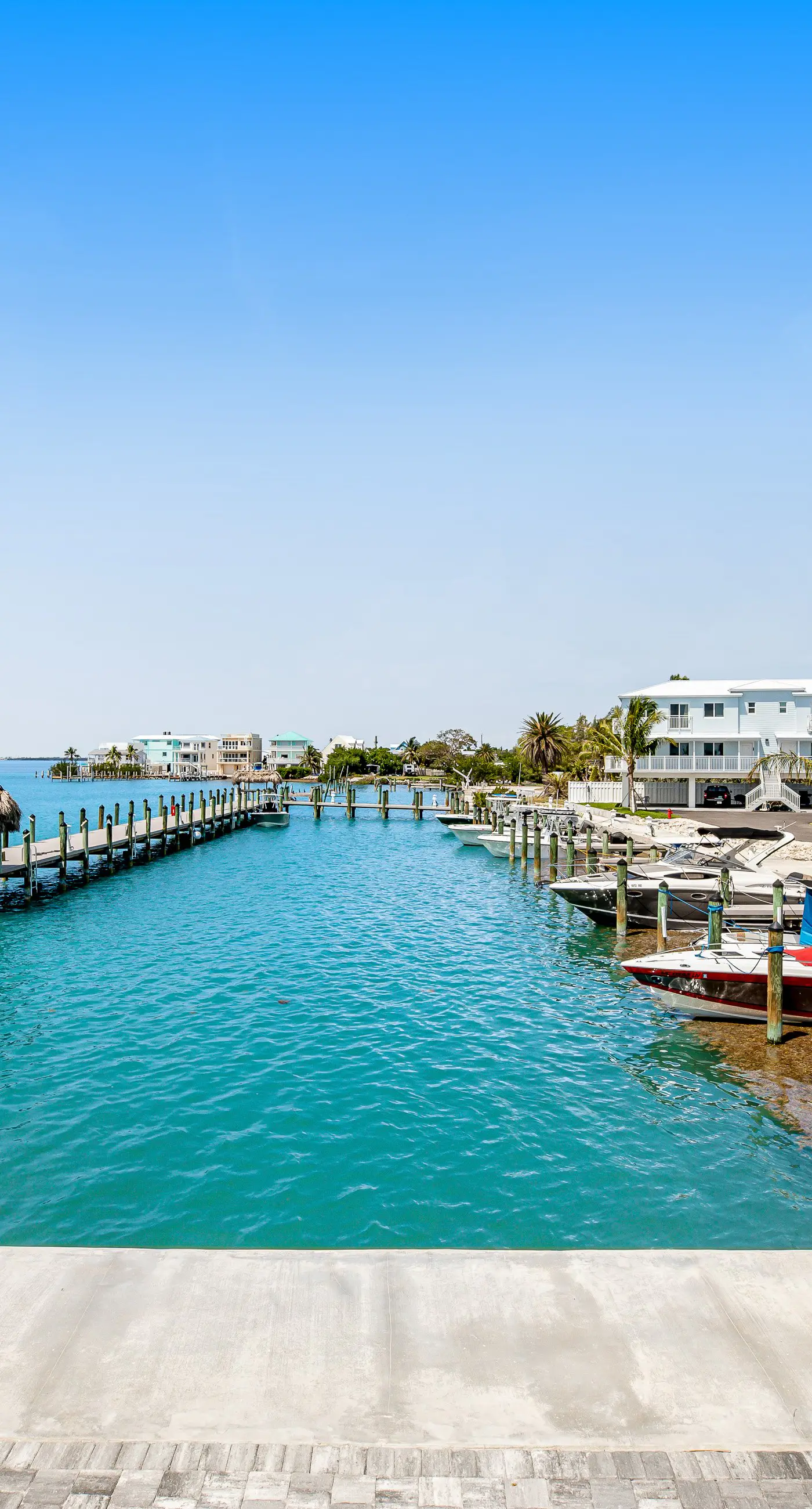Tarpon Breeze