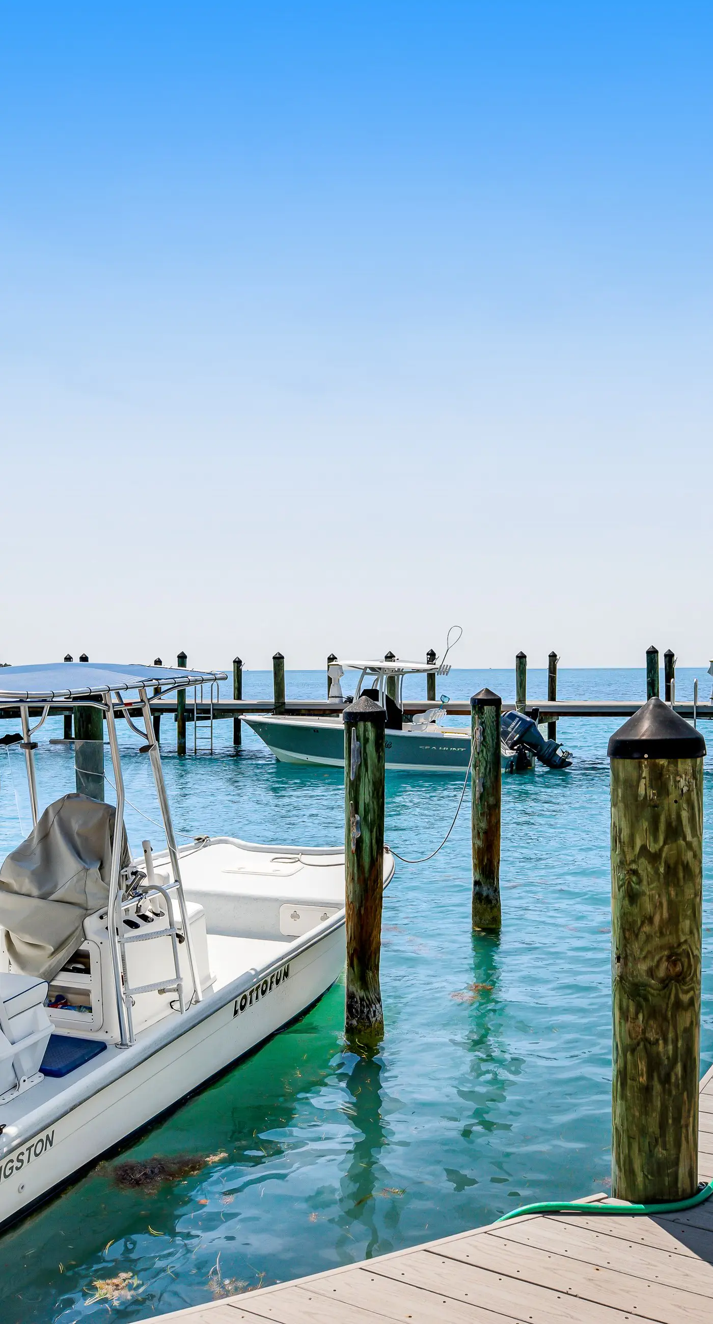 Tarpon Breeze
