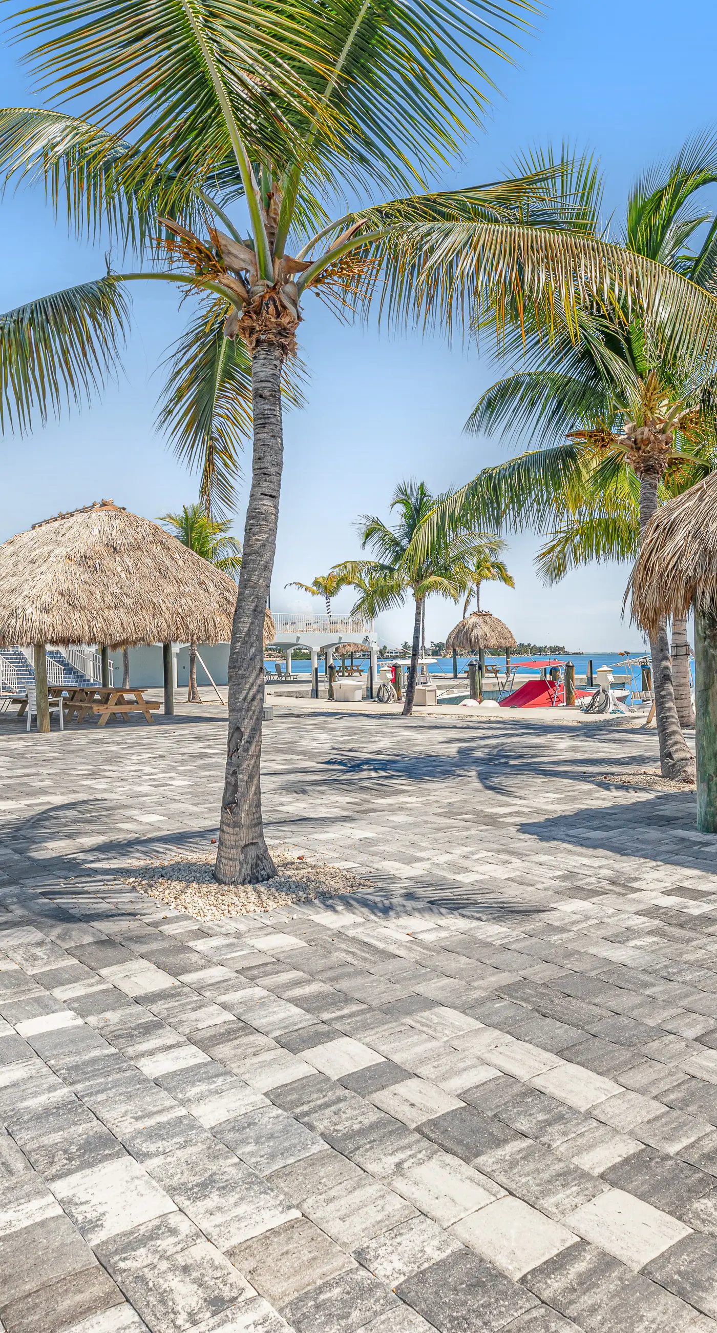 Tarpon Breeze