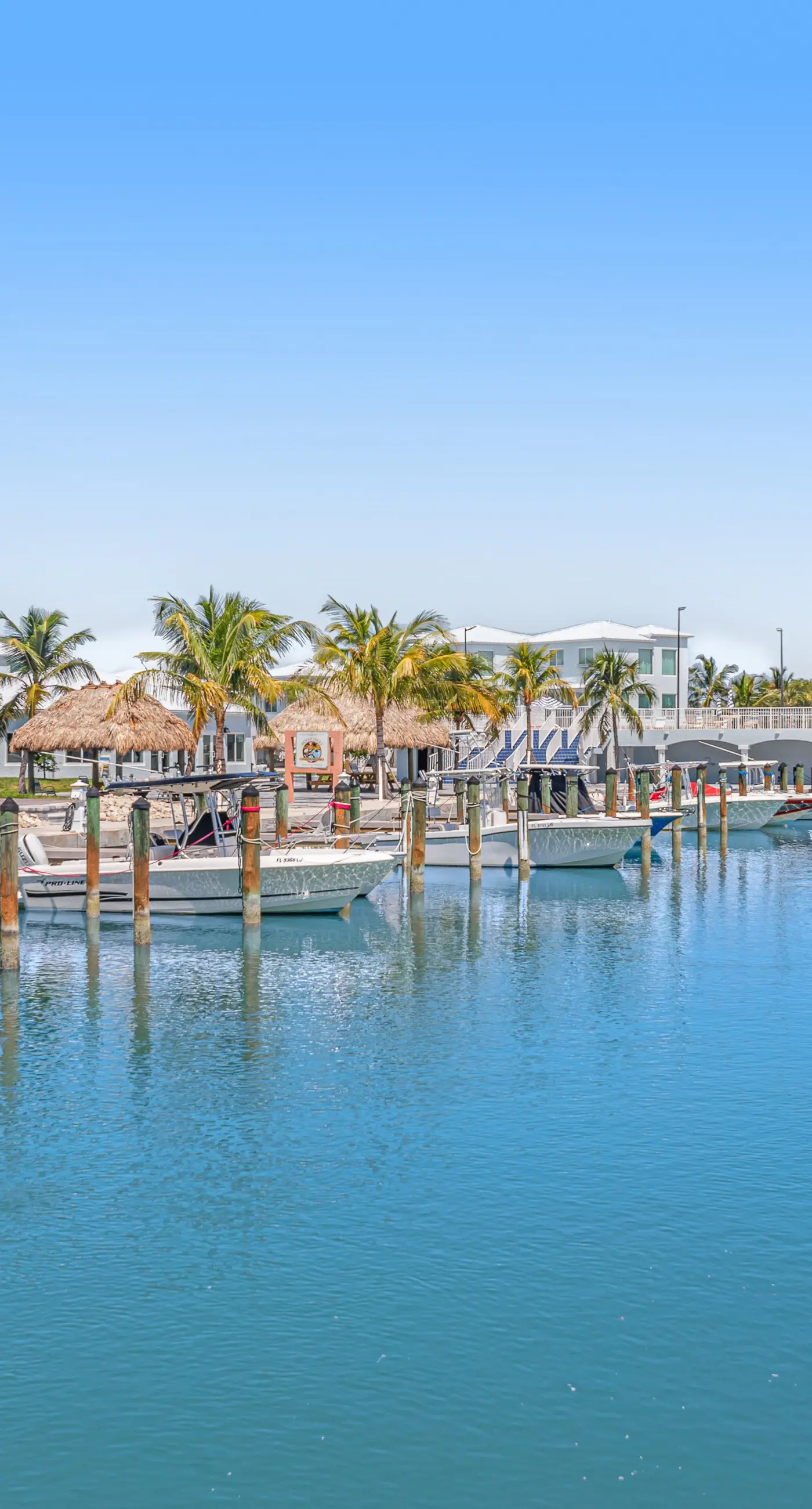 Tarpon Breeze