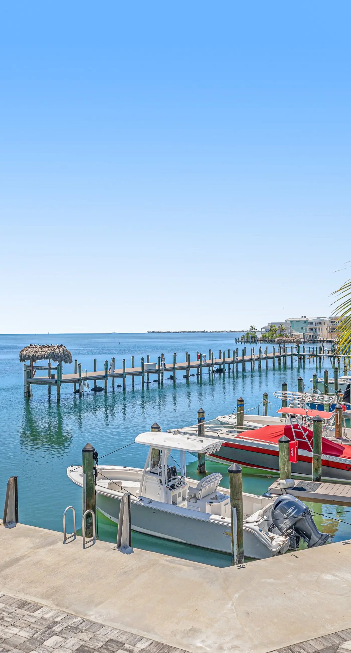 Tarpon Breeze