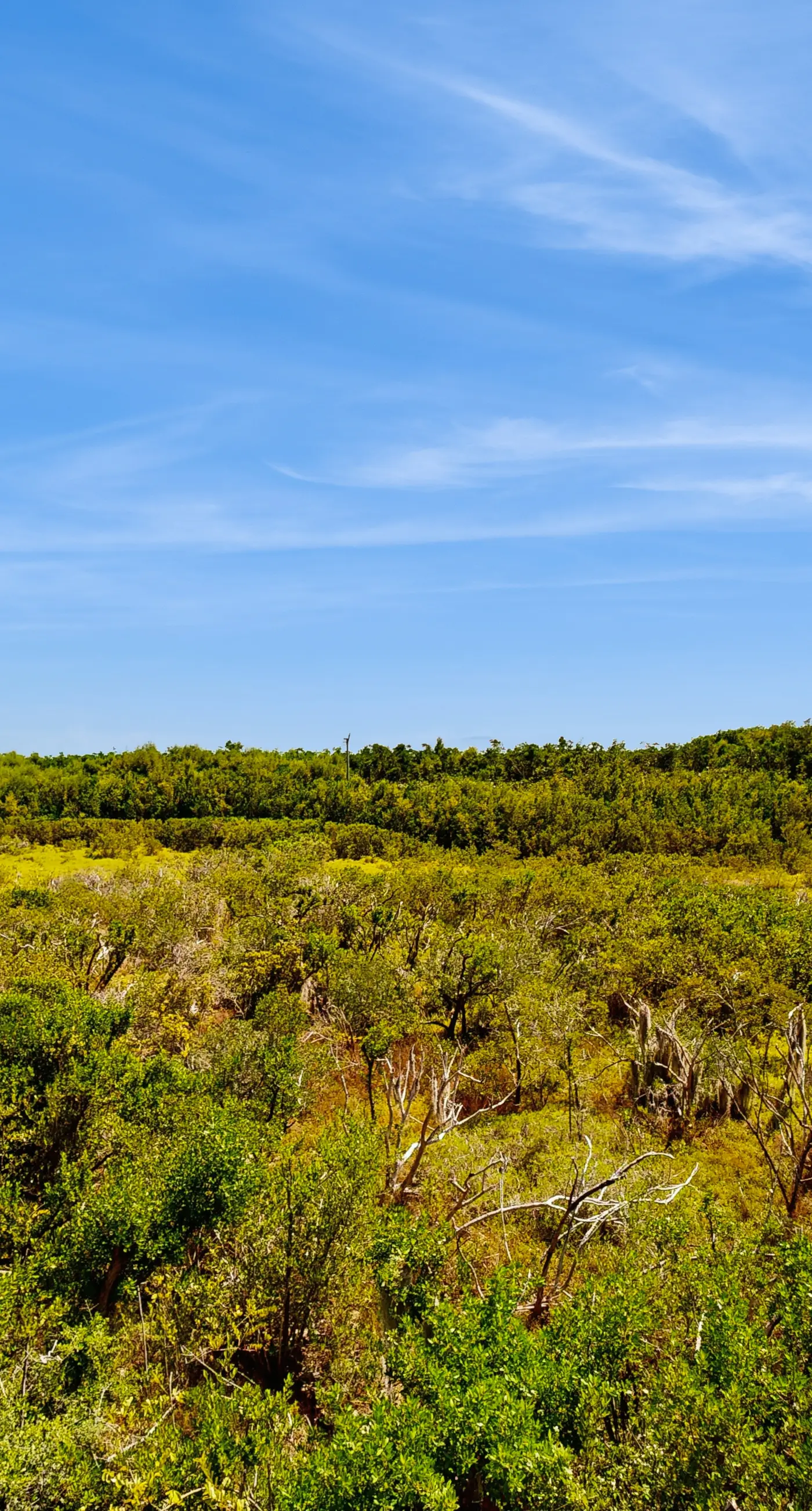 Molliner Vacation Retreat