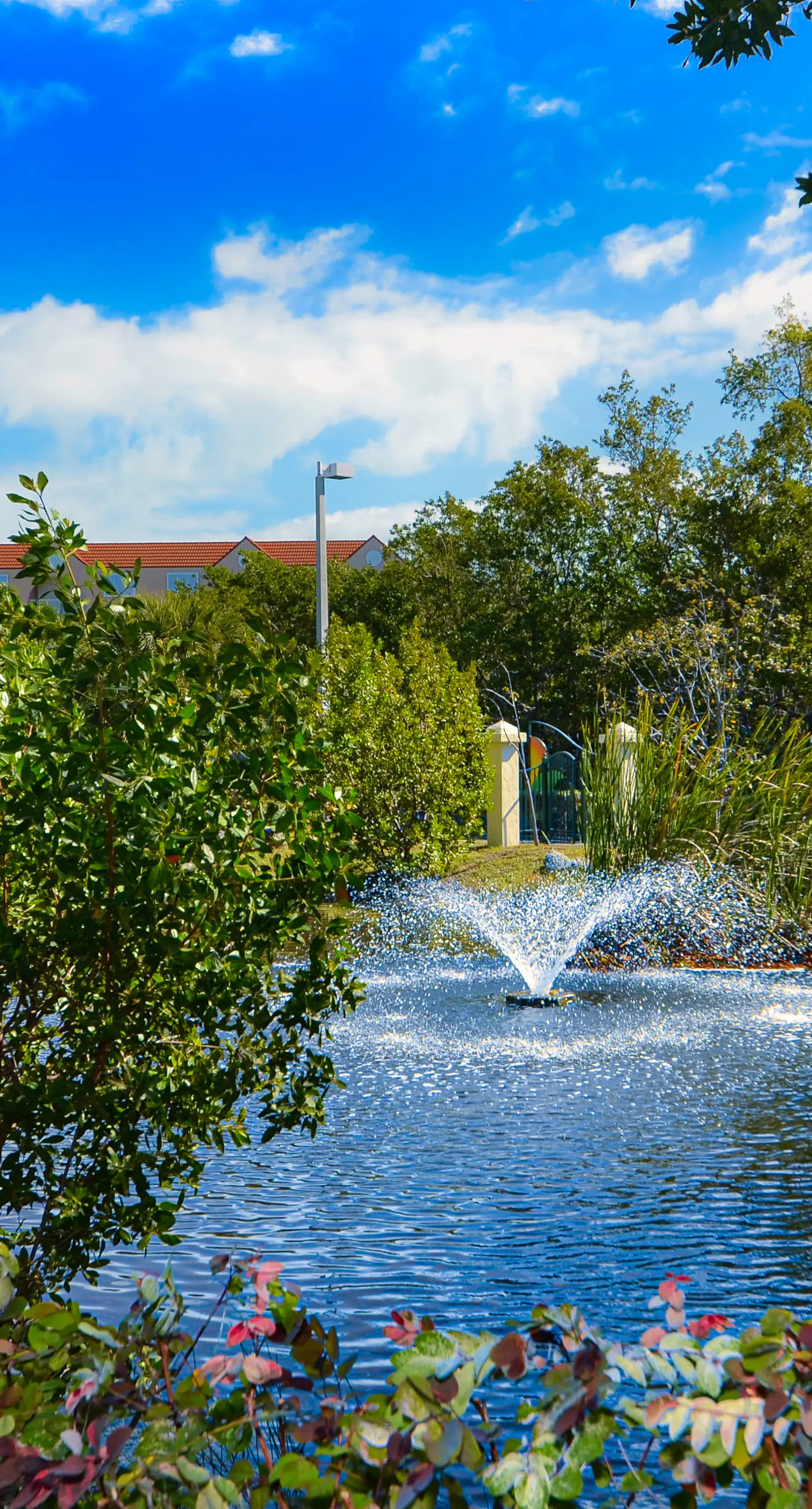 Sunrise Suites - Catalina Suite 311