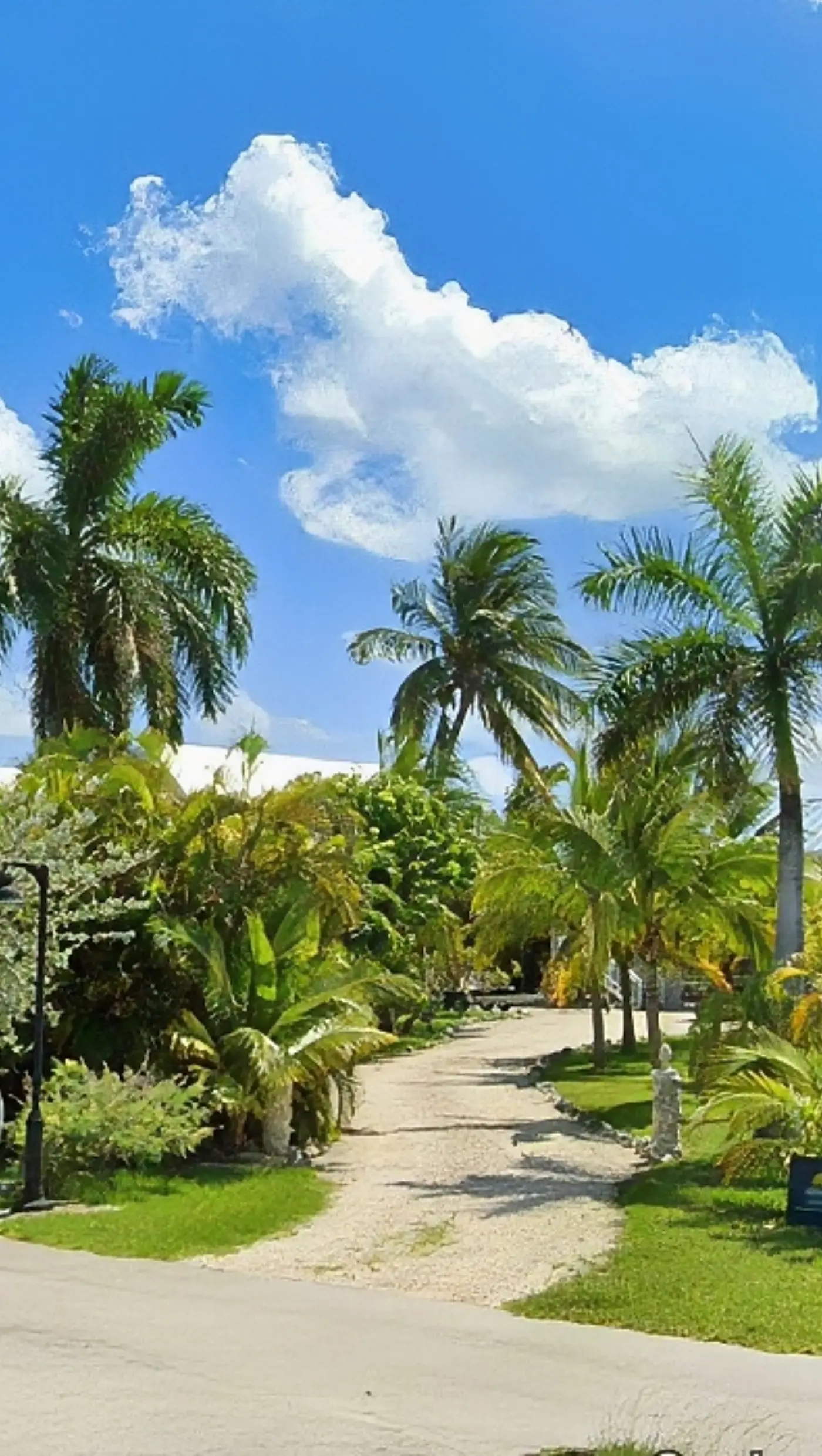 Sombrero Sands