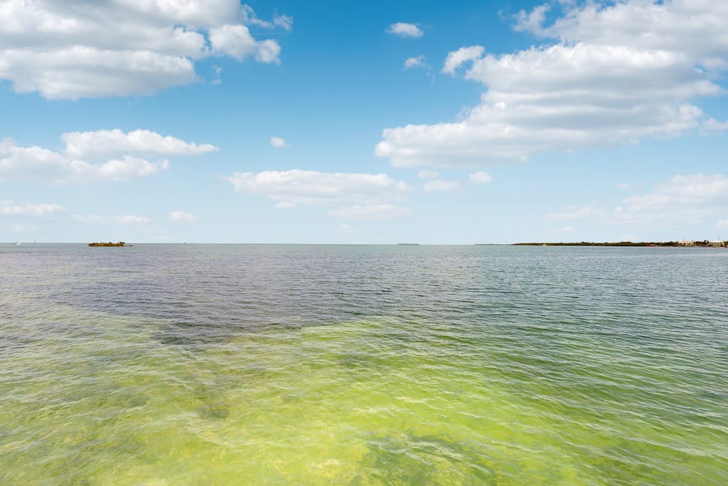 Oceanside condo with heated pool, tennis courts & great location