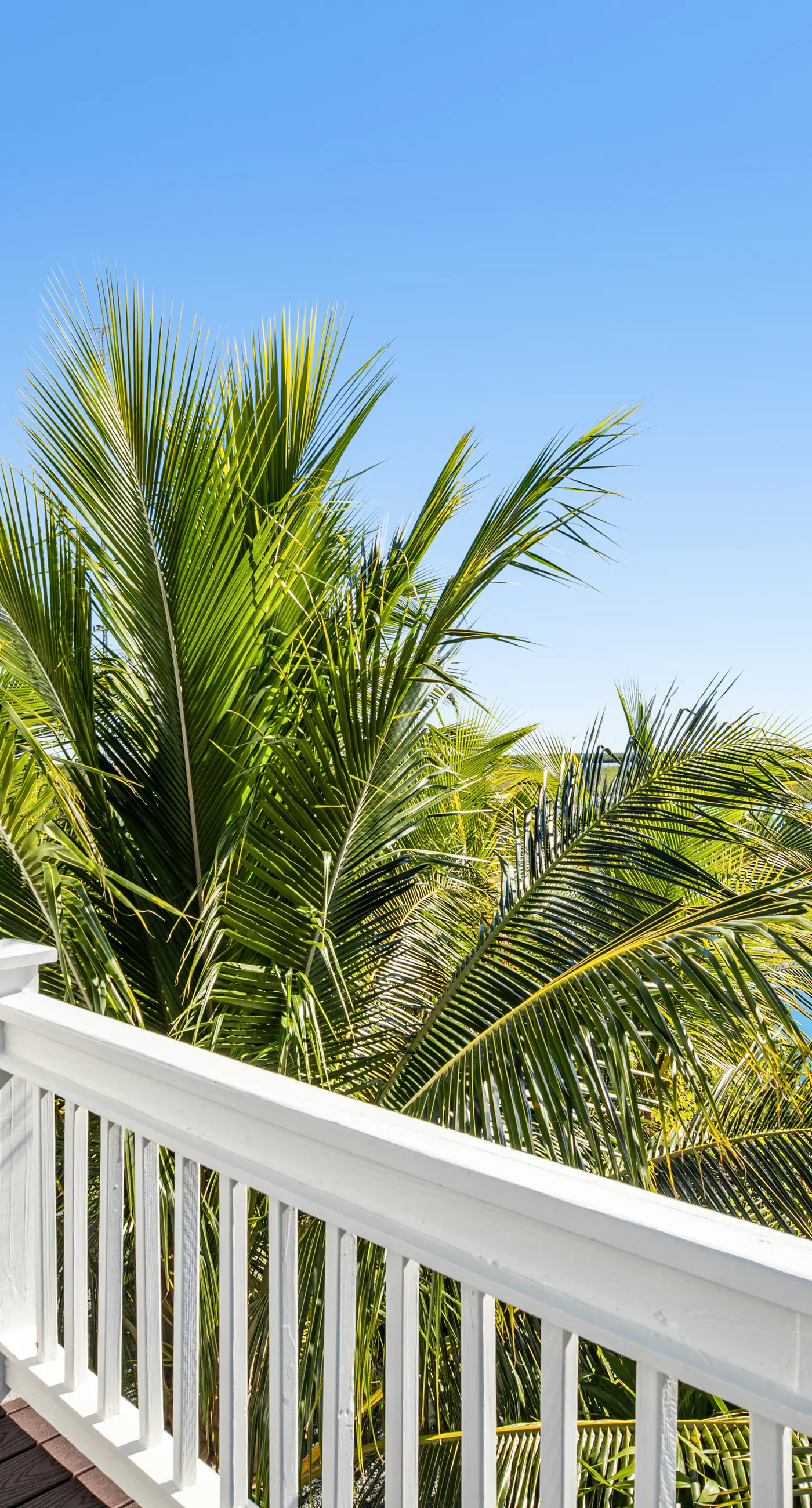 Luxury Villa of the Setting Sun -Near Key West Fl