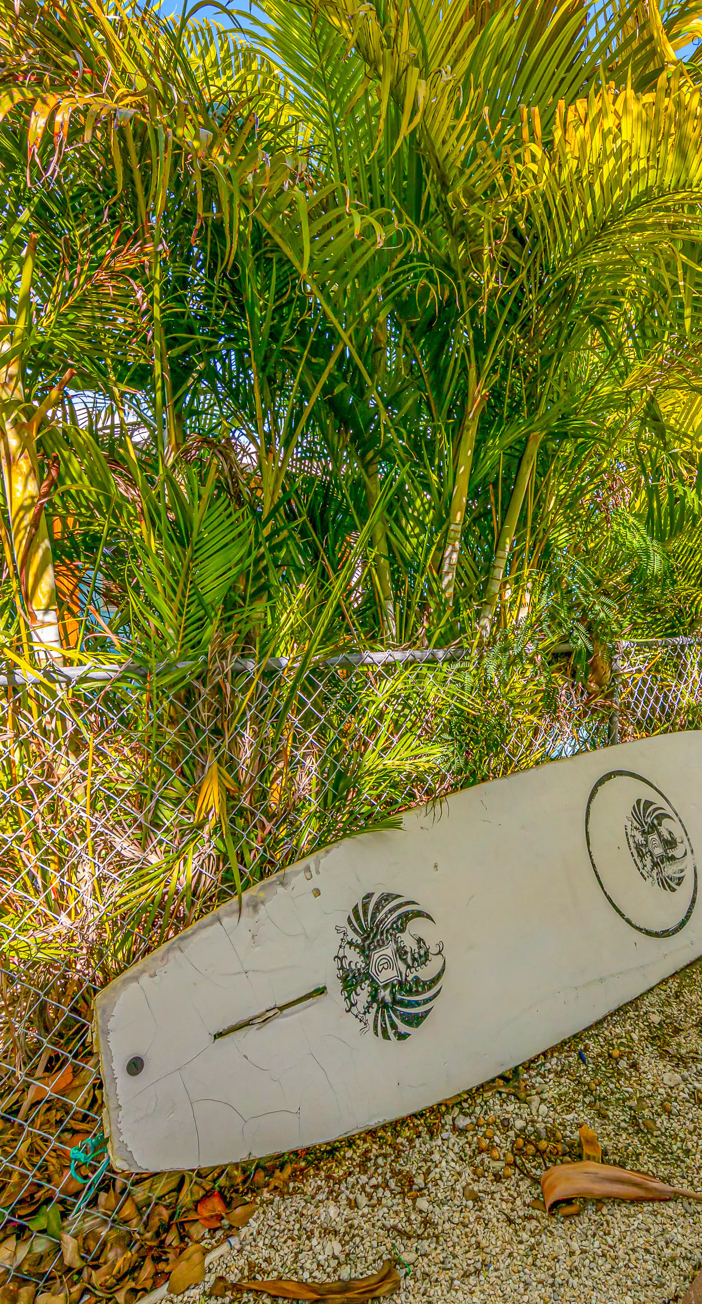 Yellowtail House