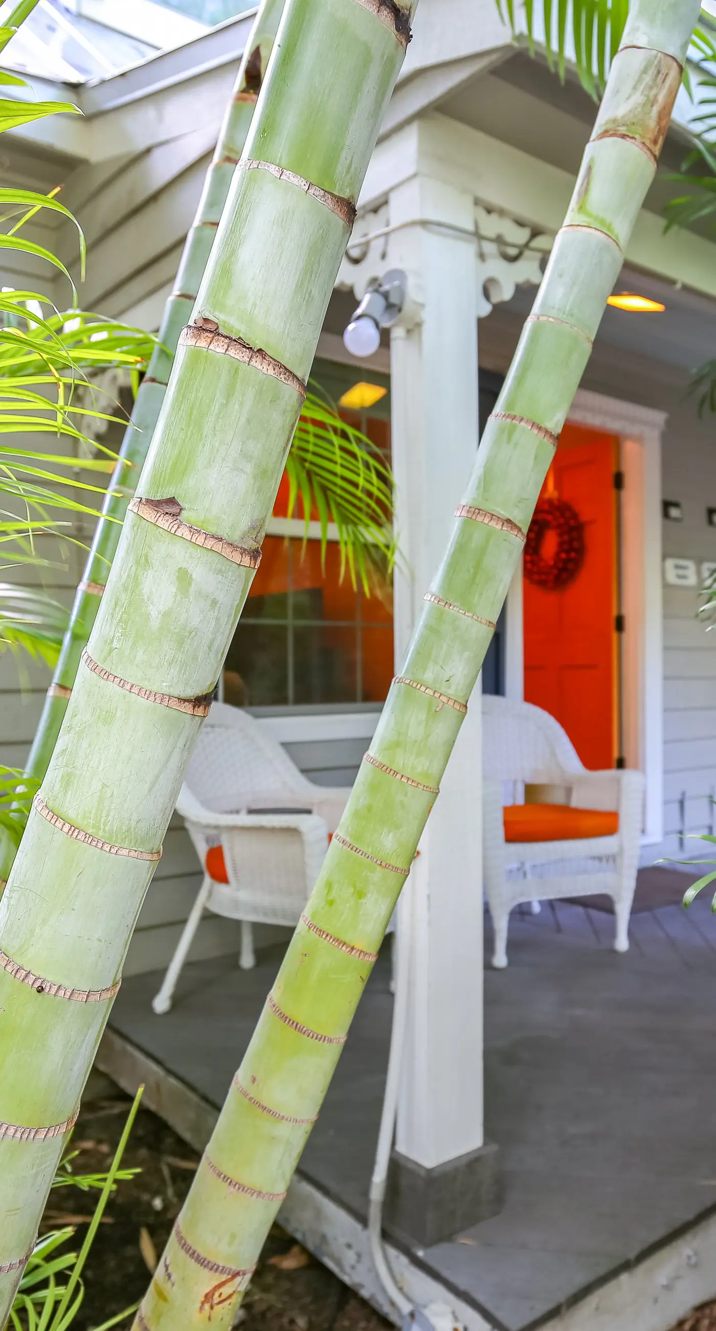 Old Town Garden Villas - Abaco Suite