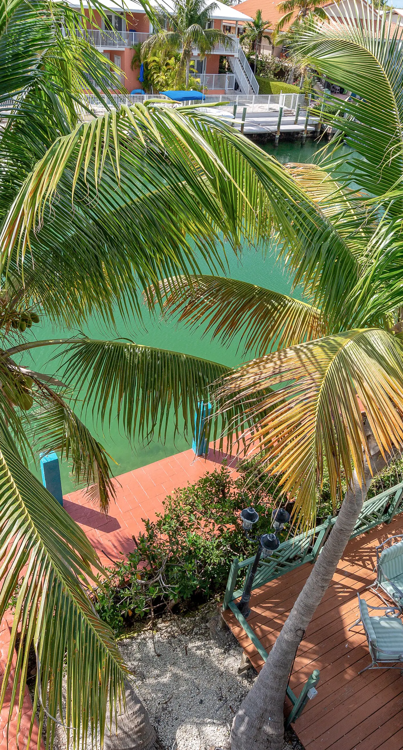 Tropical Charm