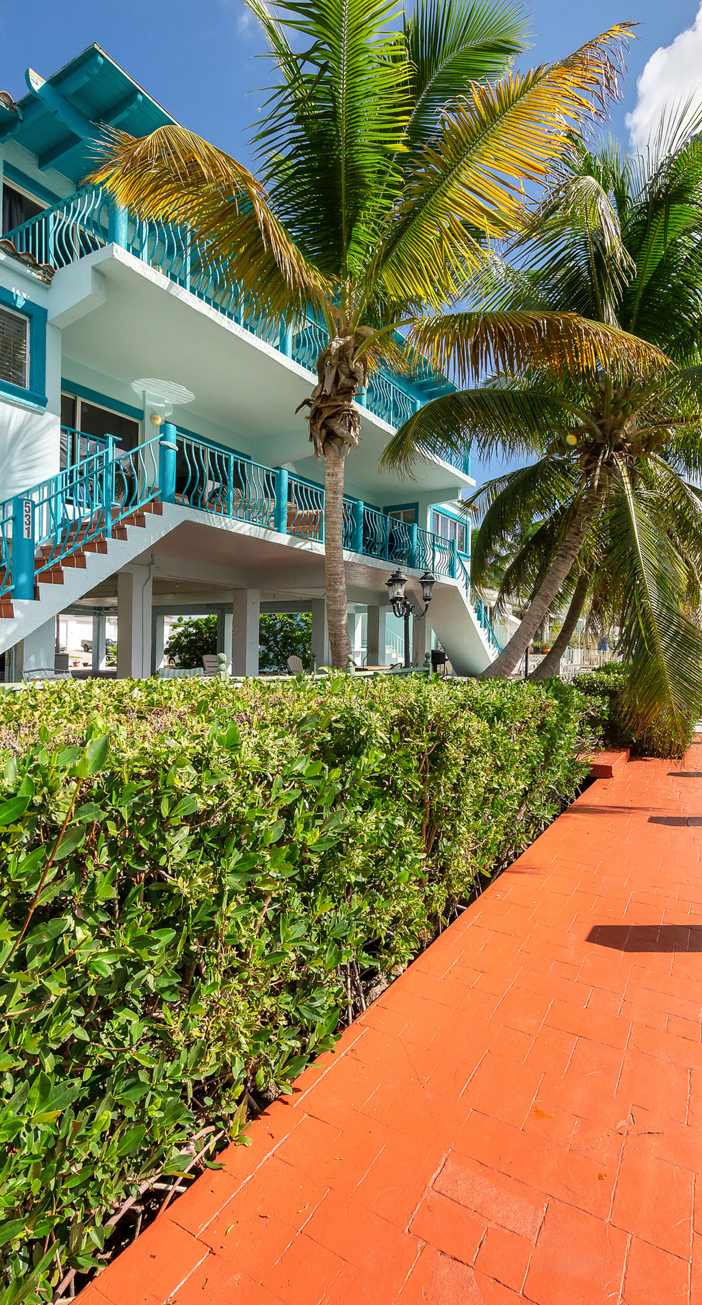 Tropical Charm