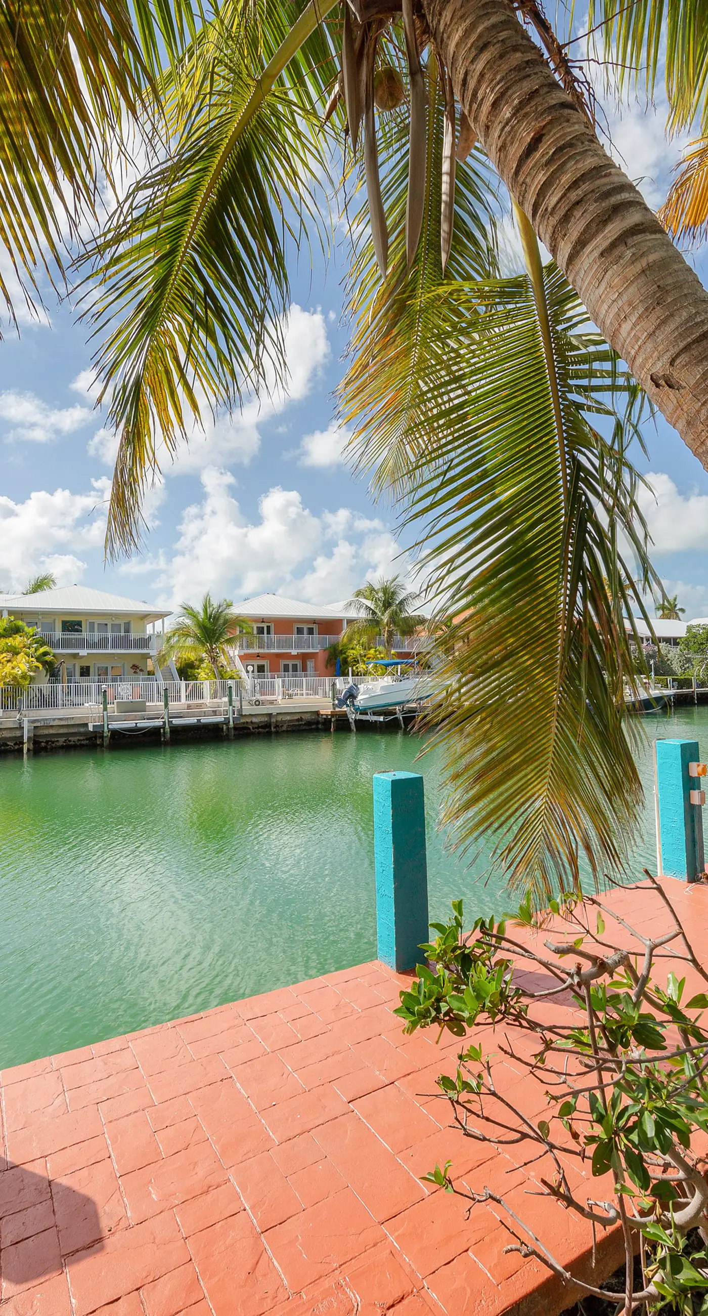 Tropical Charm