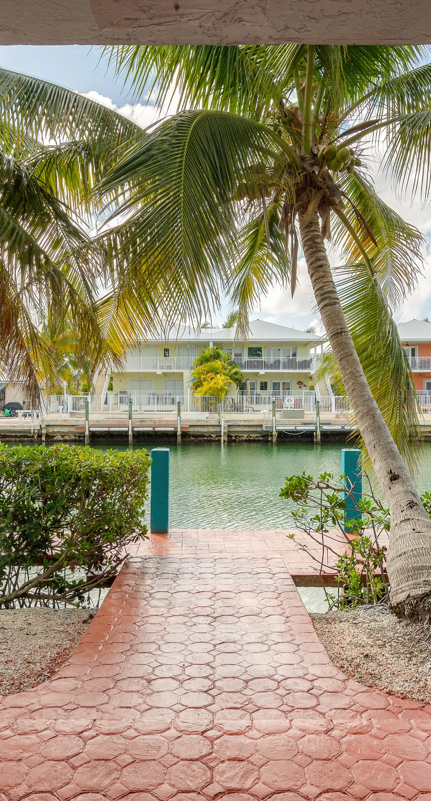 Tropical Charm