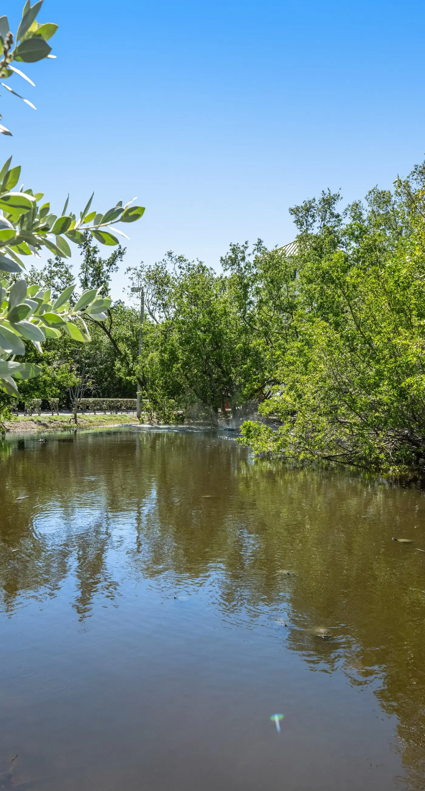 Sunrise Suites - Paradise Escape 407