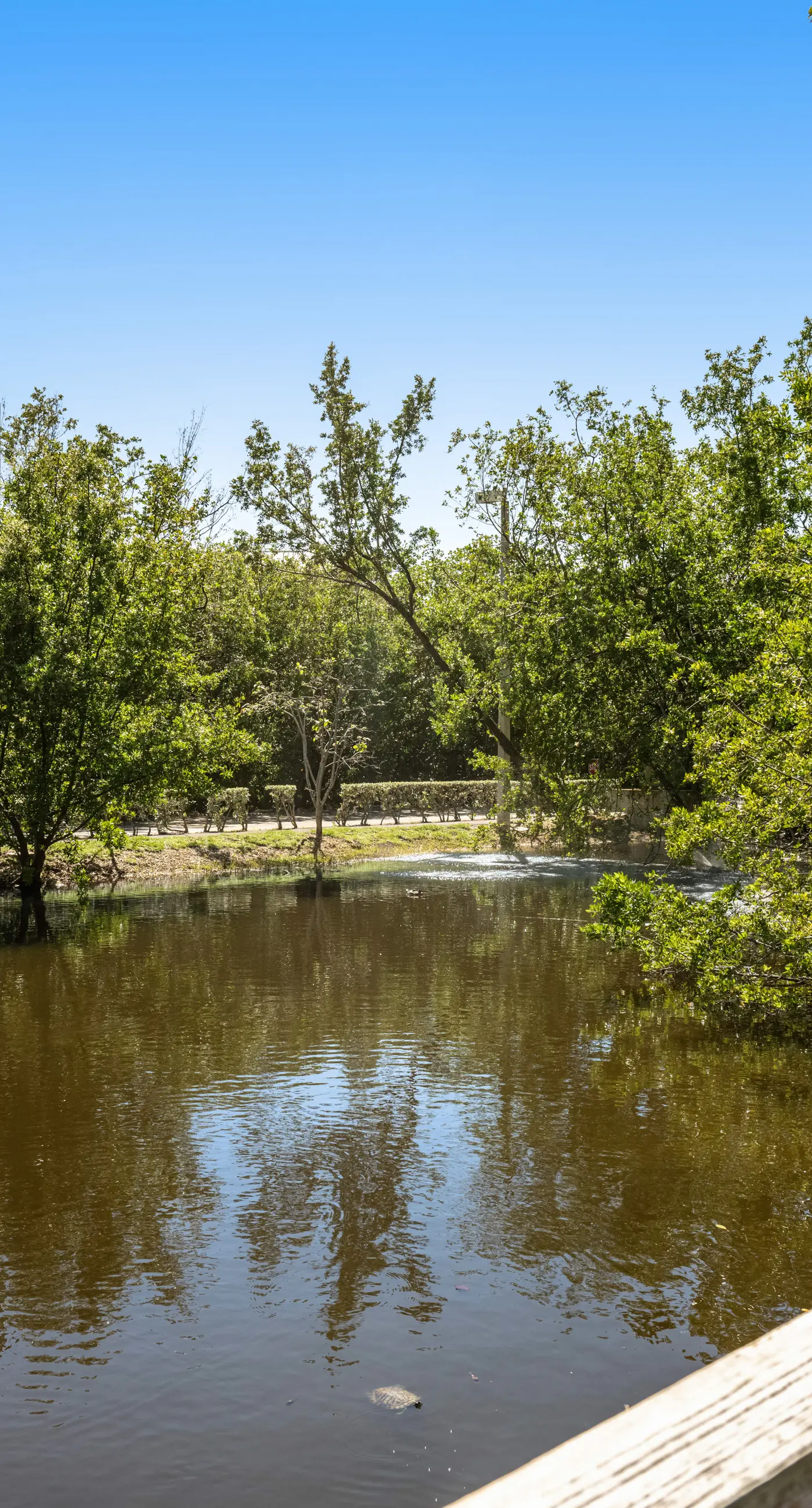 Sunrise Suites - Paradise Escape 407