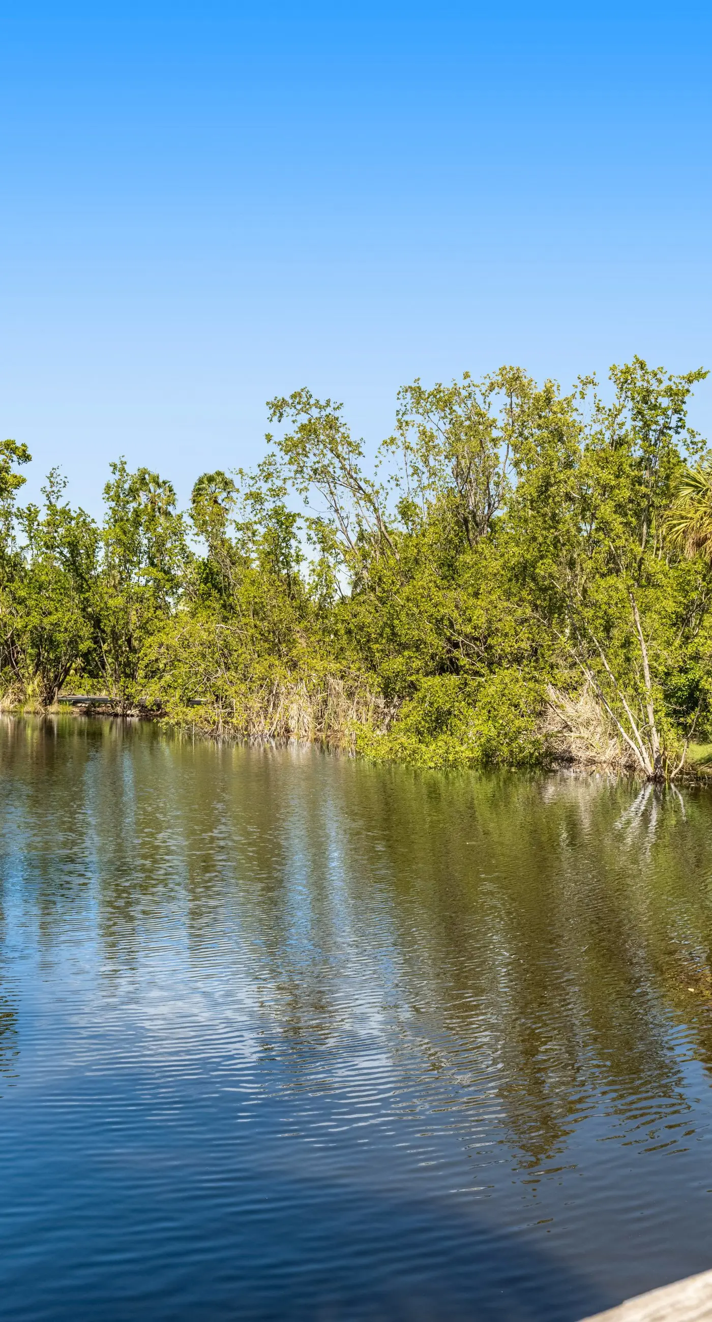 Sunrise Suites - Paradise Escape 407