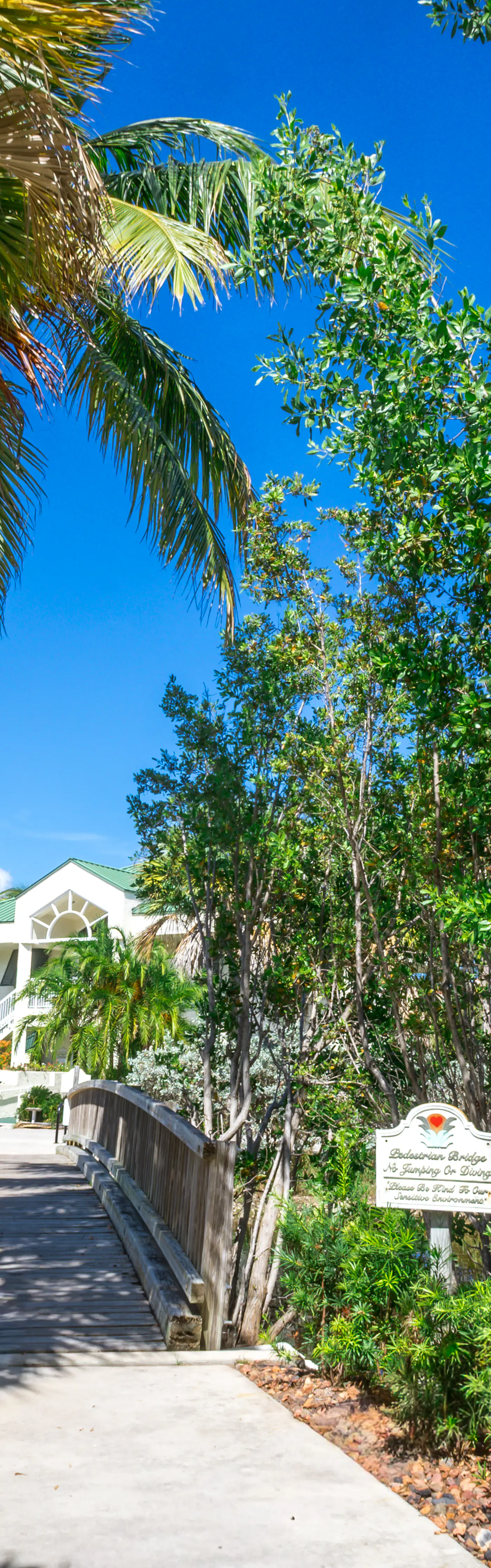 KWSS407 - Sunrise Suites - Paradise Escape 407
