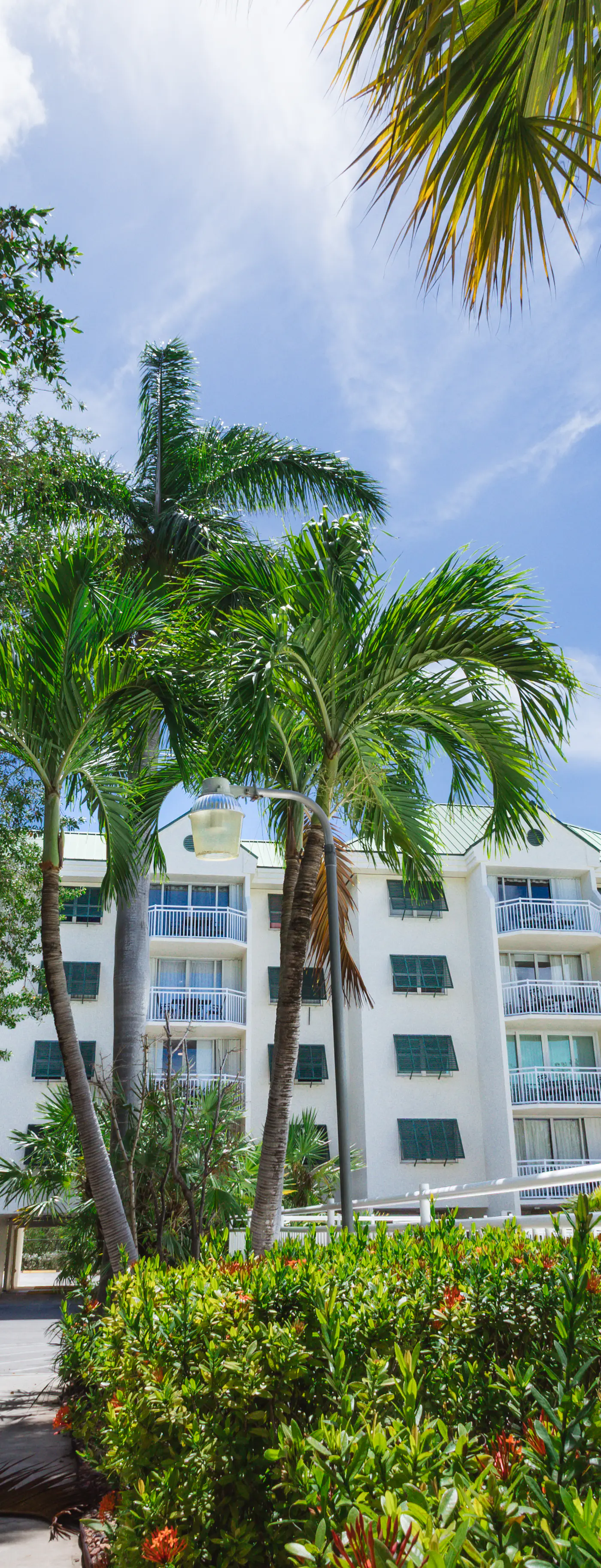 KWSS212 - Sunrise Suites - Saint Croix Suite 212