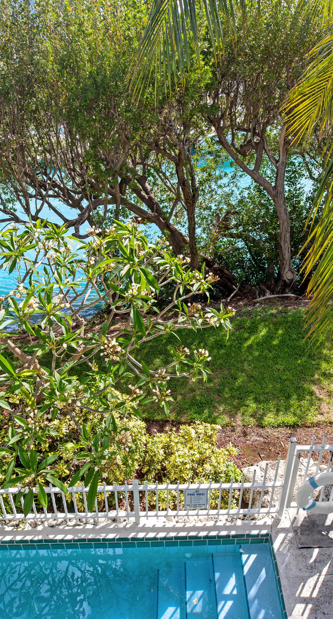 Palm Villa - Villa 5115