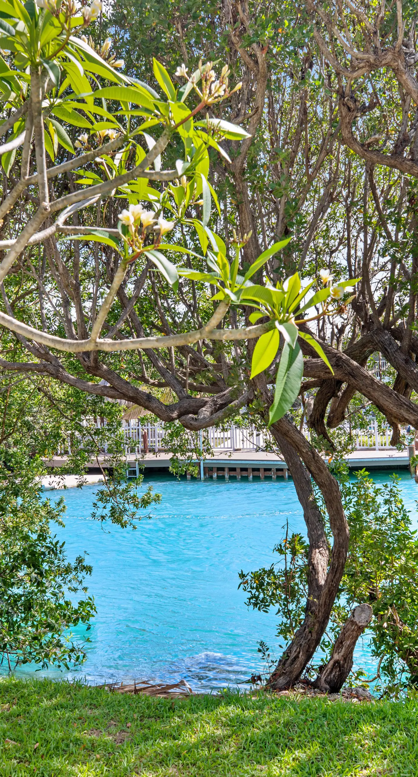 Palm Villa - Villa 5115