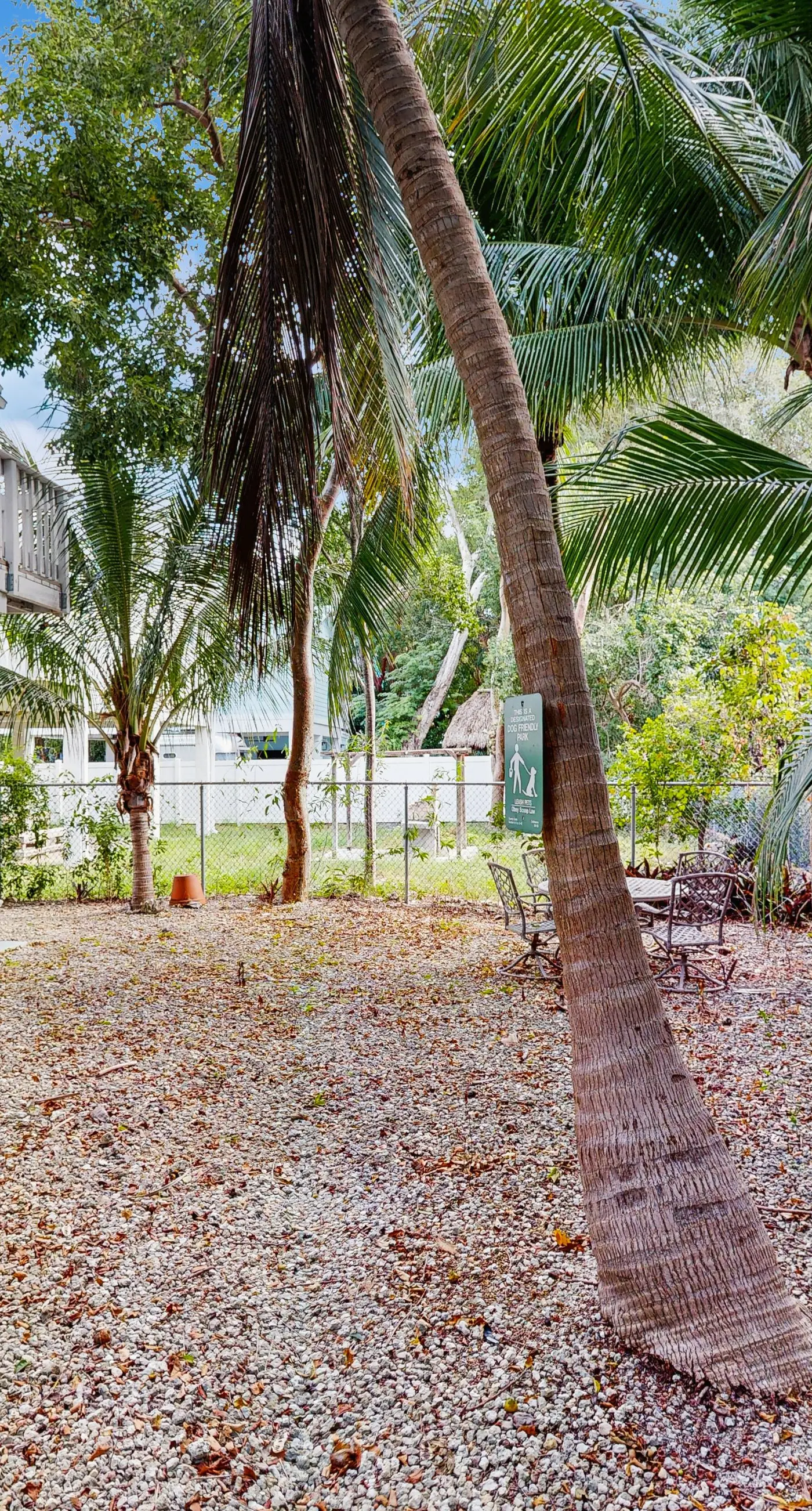The Beach House