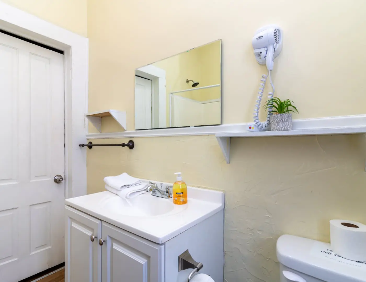 Large Downtown Home - The Sunny Southern Manse