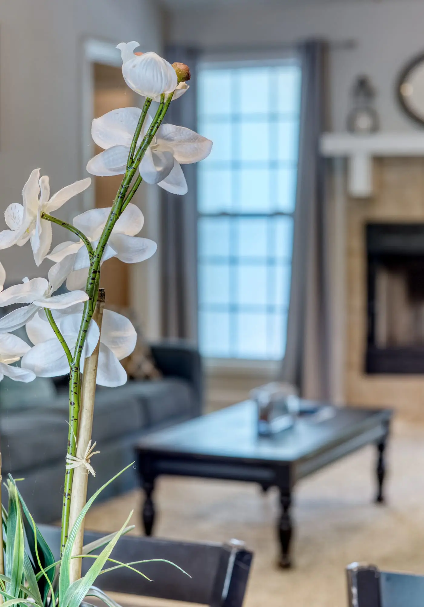 Near Shops, Dining & Airport- The Hilltop Bungalow