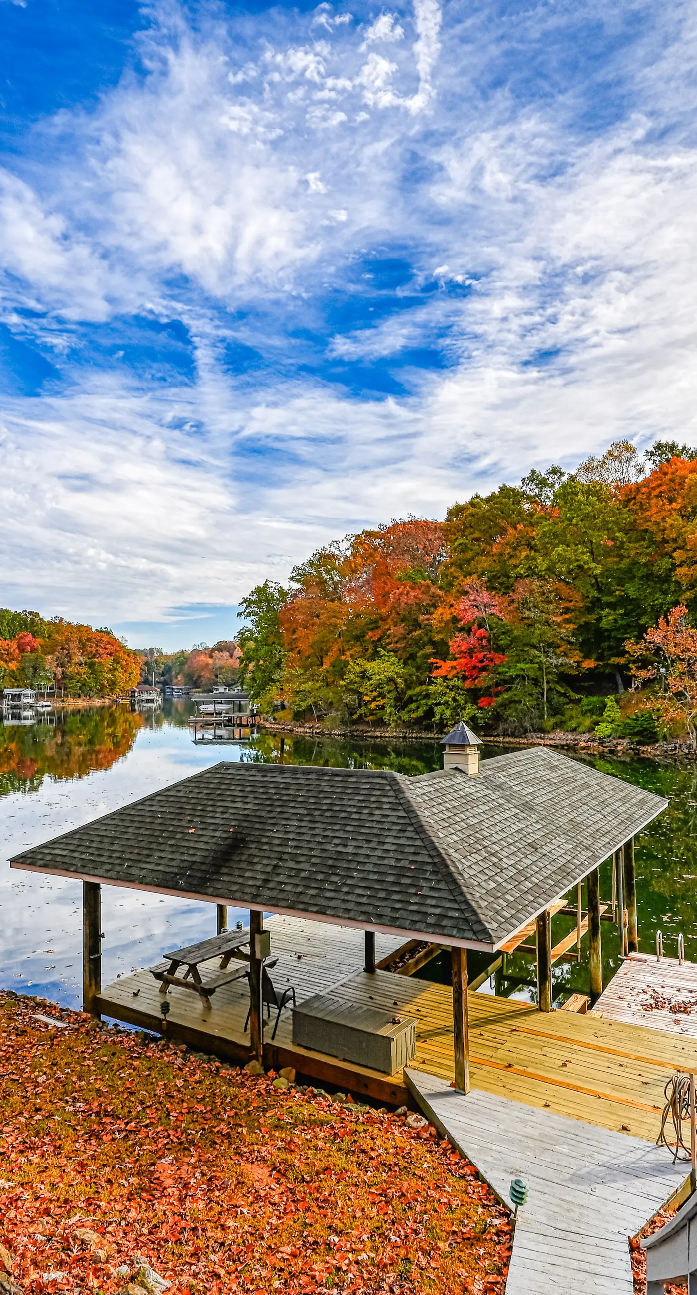 Amuse Cove