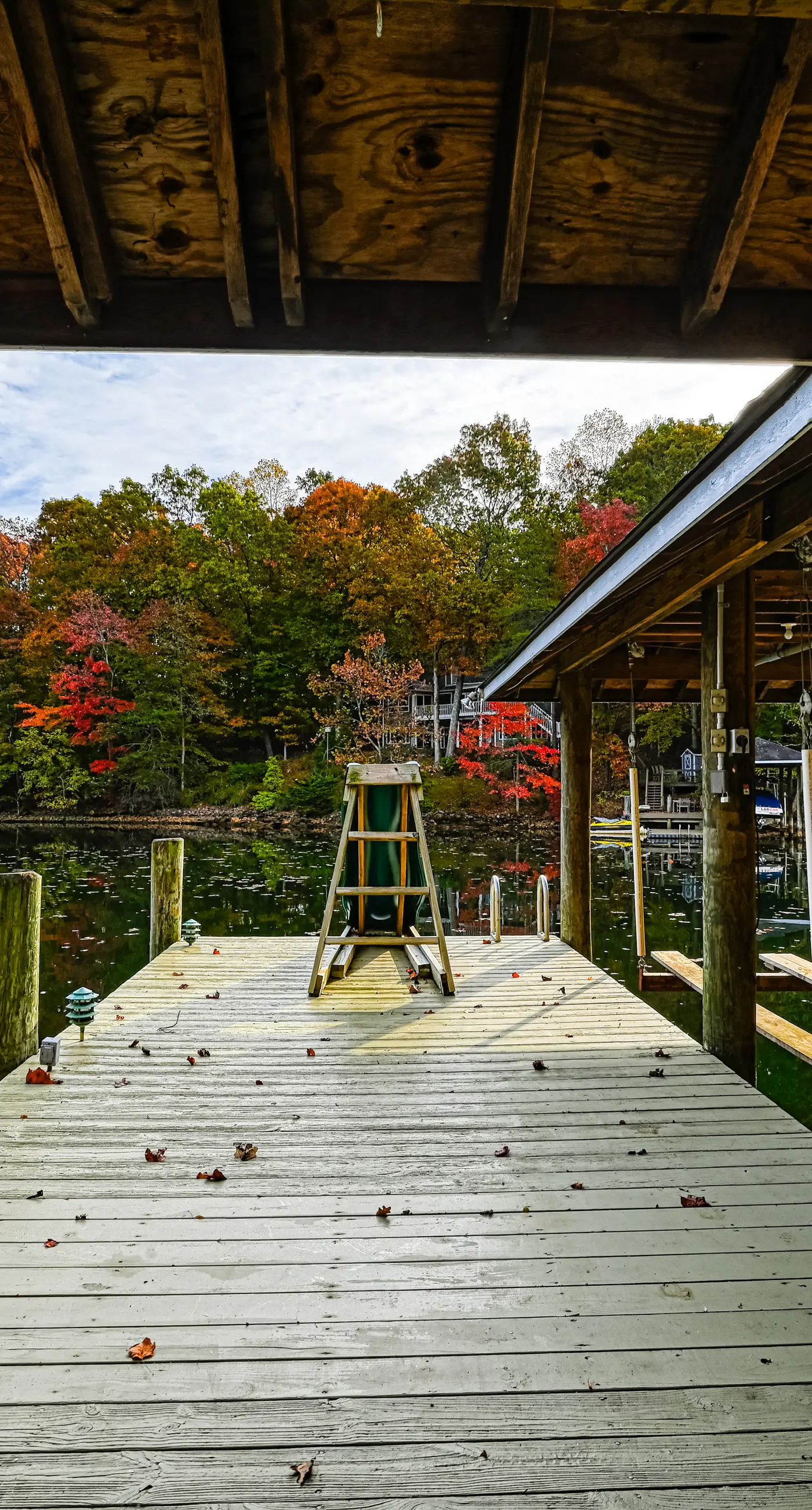 Amuse Cove