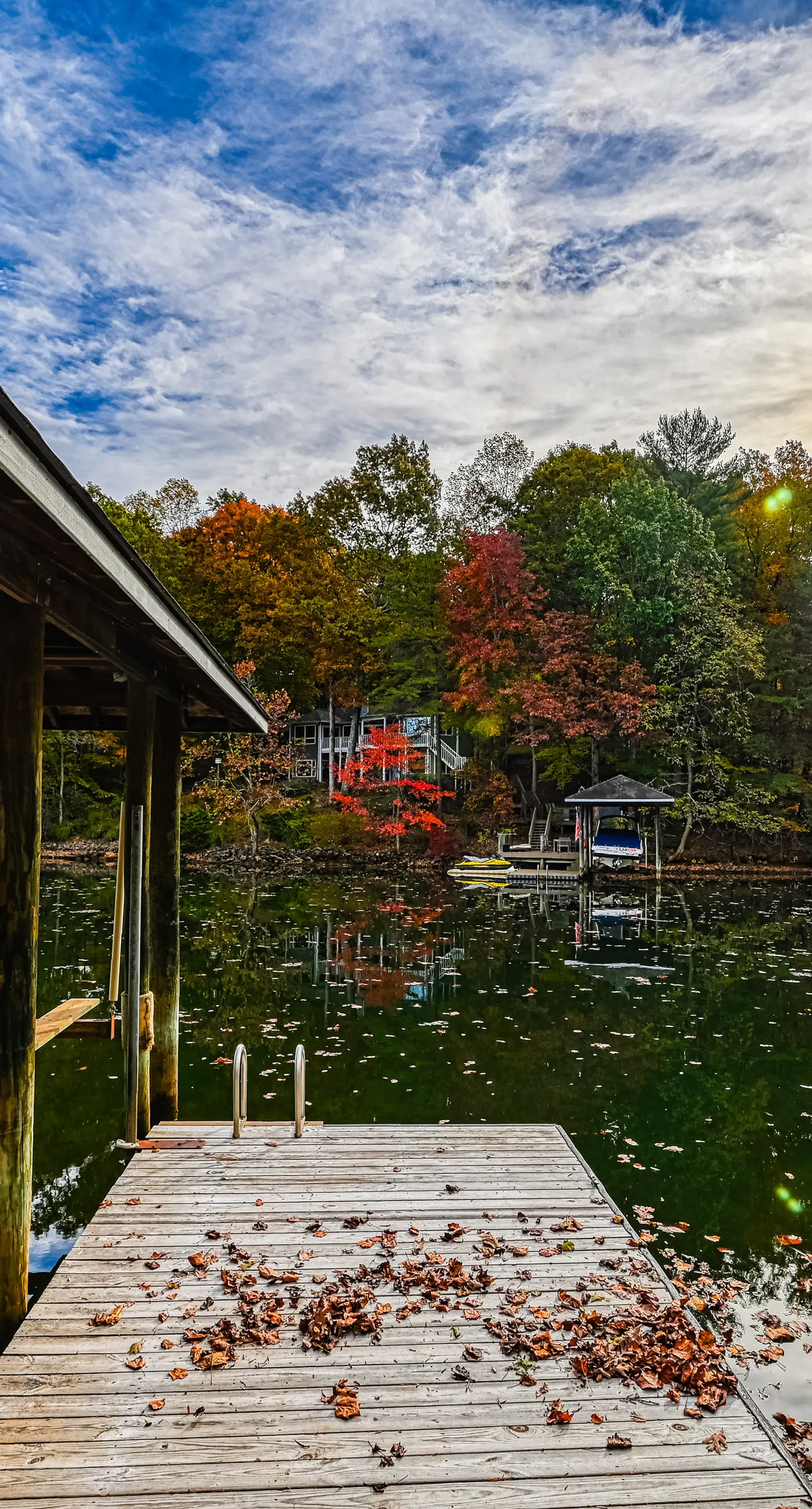 Amuse Cove