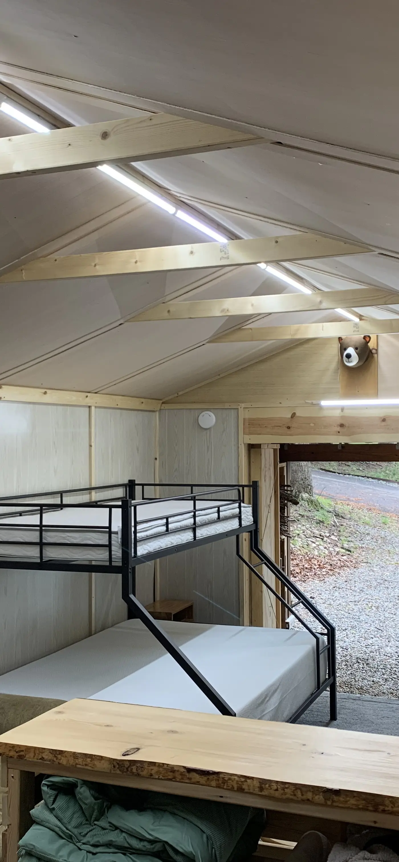 Bears Den at Acorn Dr