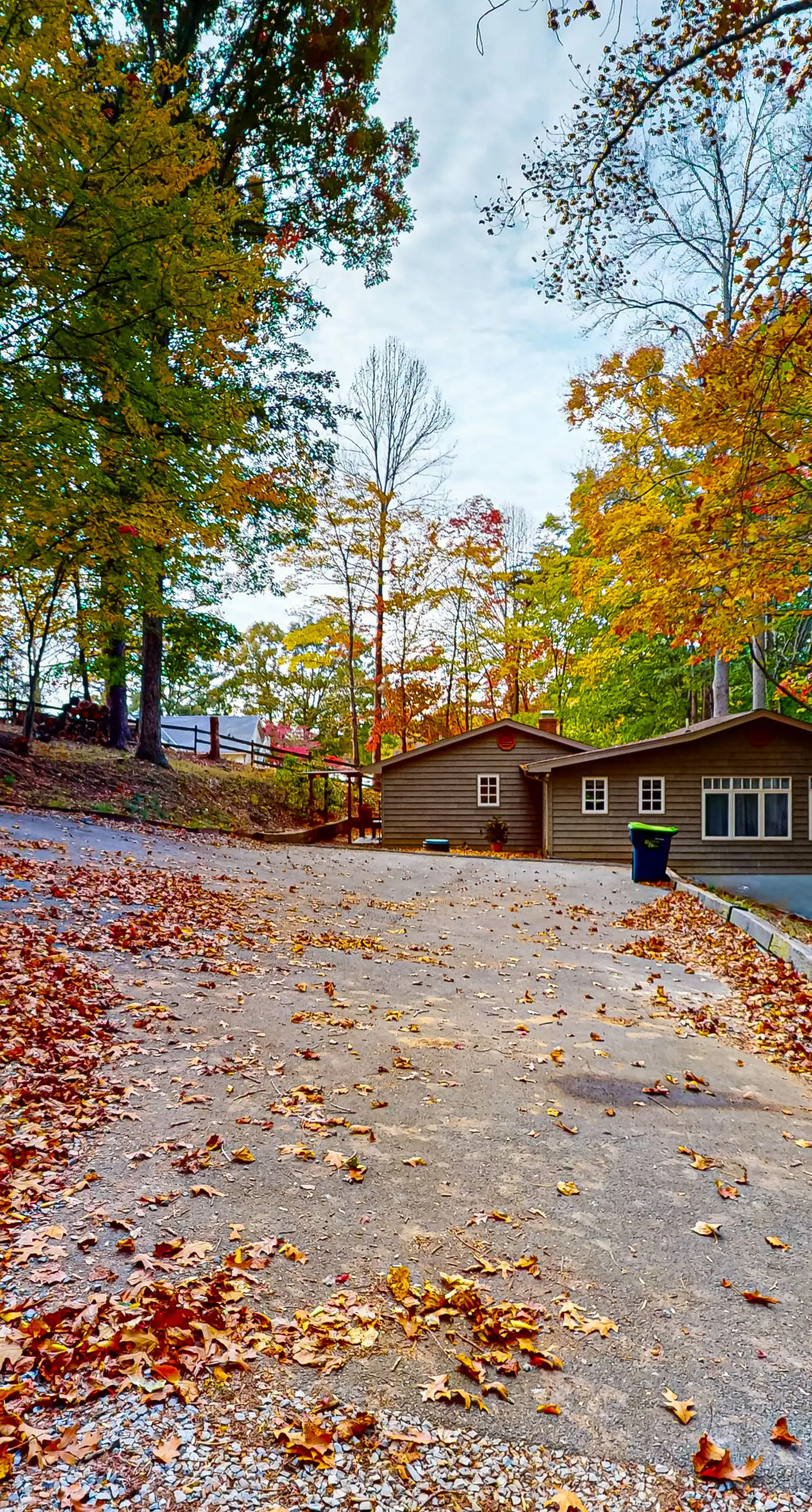 Bears Den at Acorn Dr