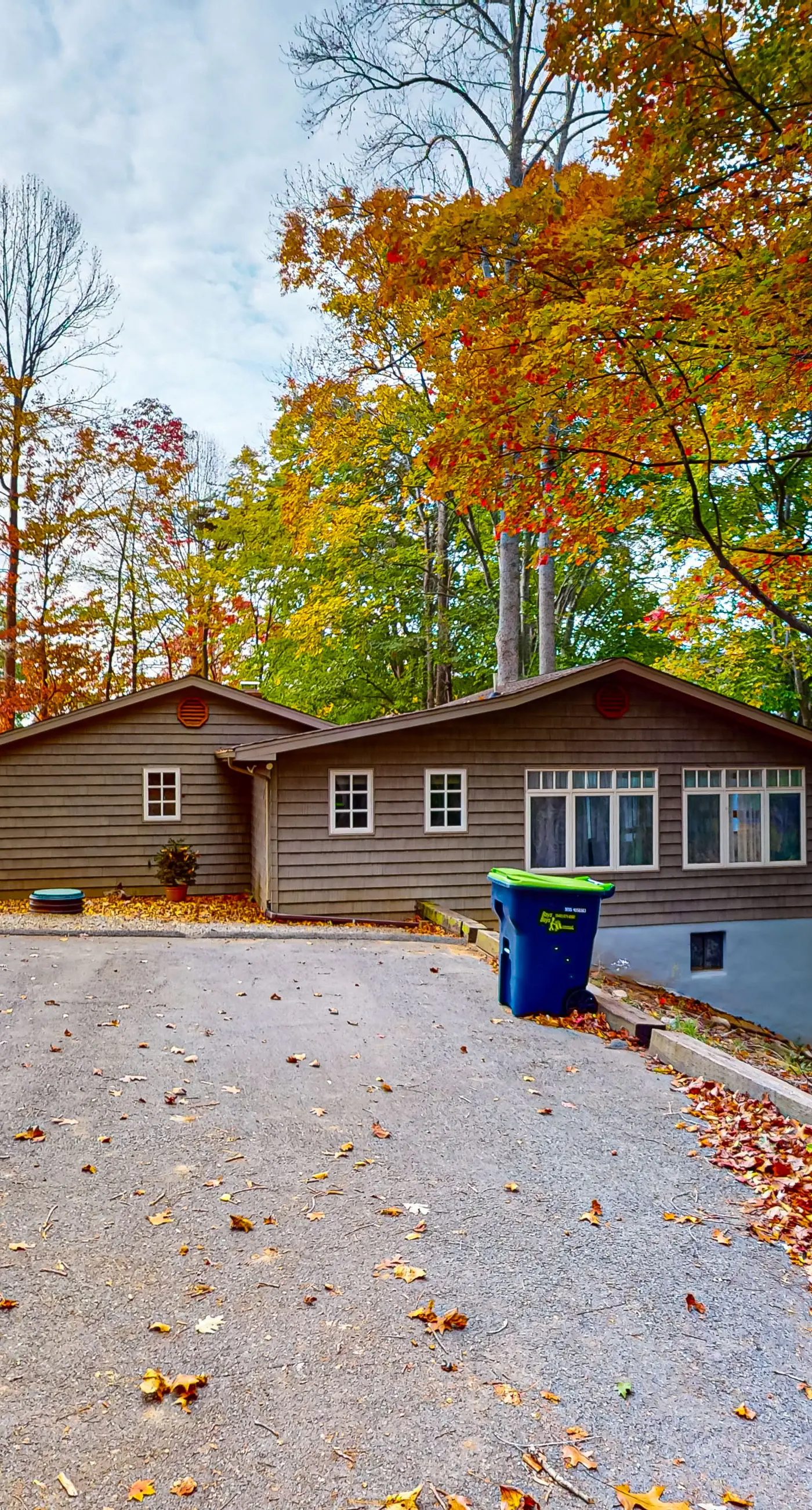 Bears Den at Acorn Dr