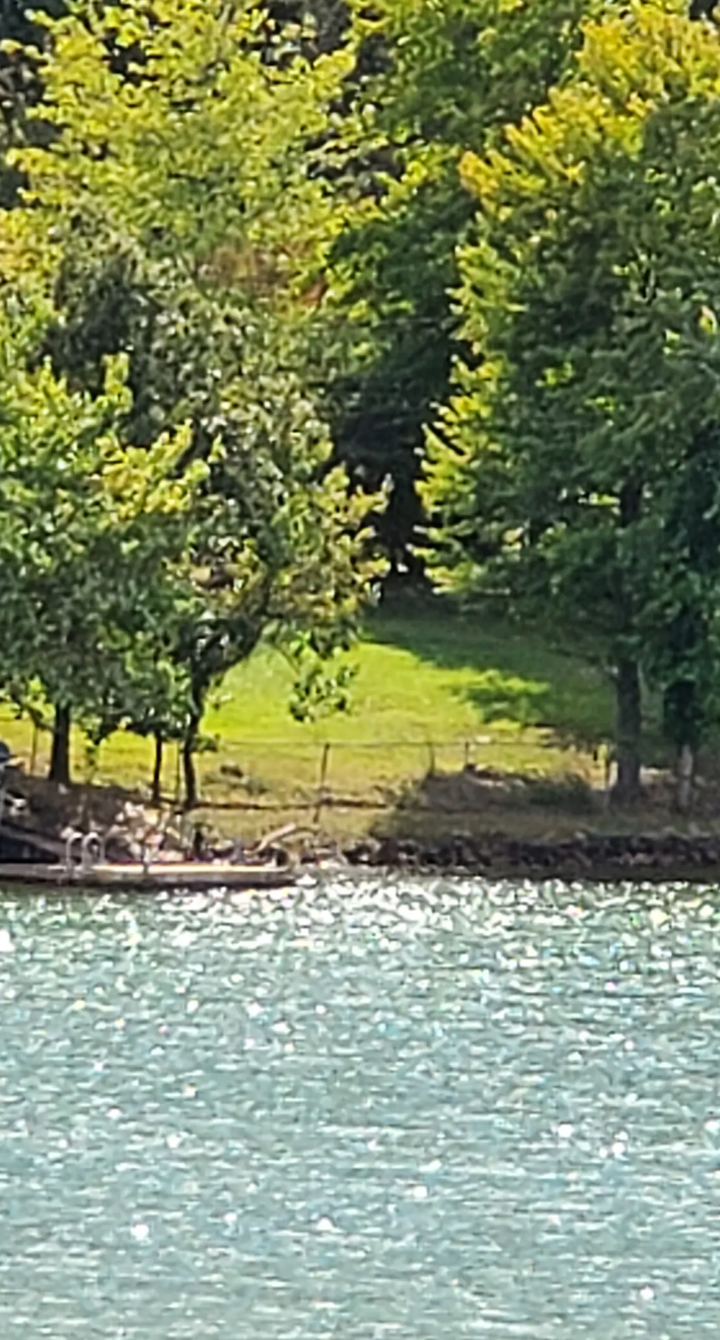 Lakeshore Glenn