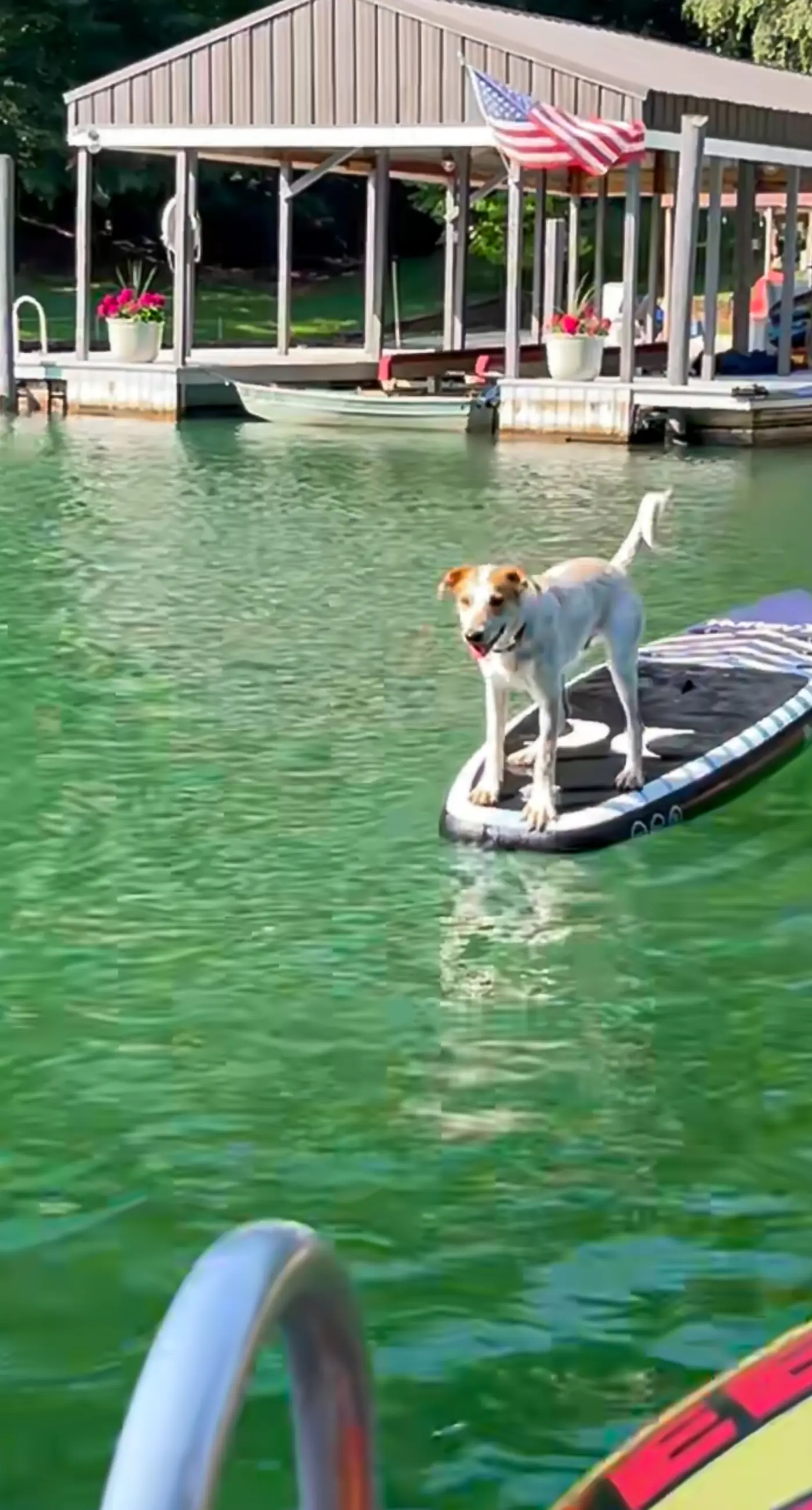 Pawsitive Retreat