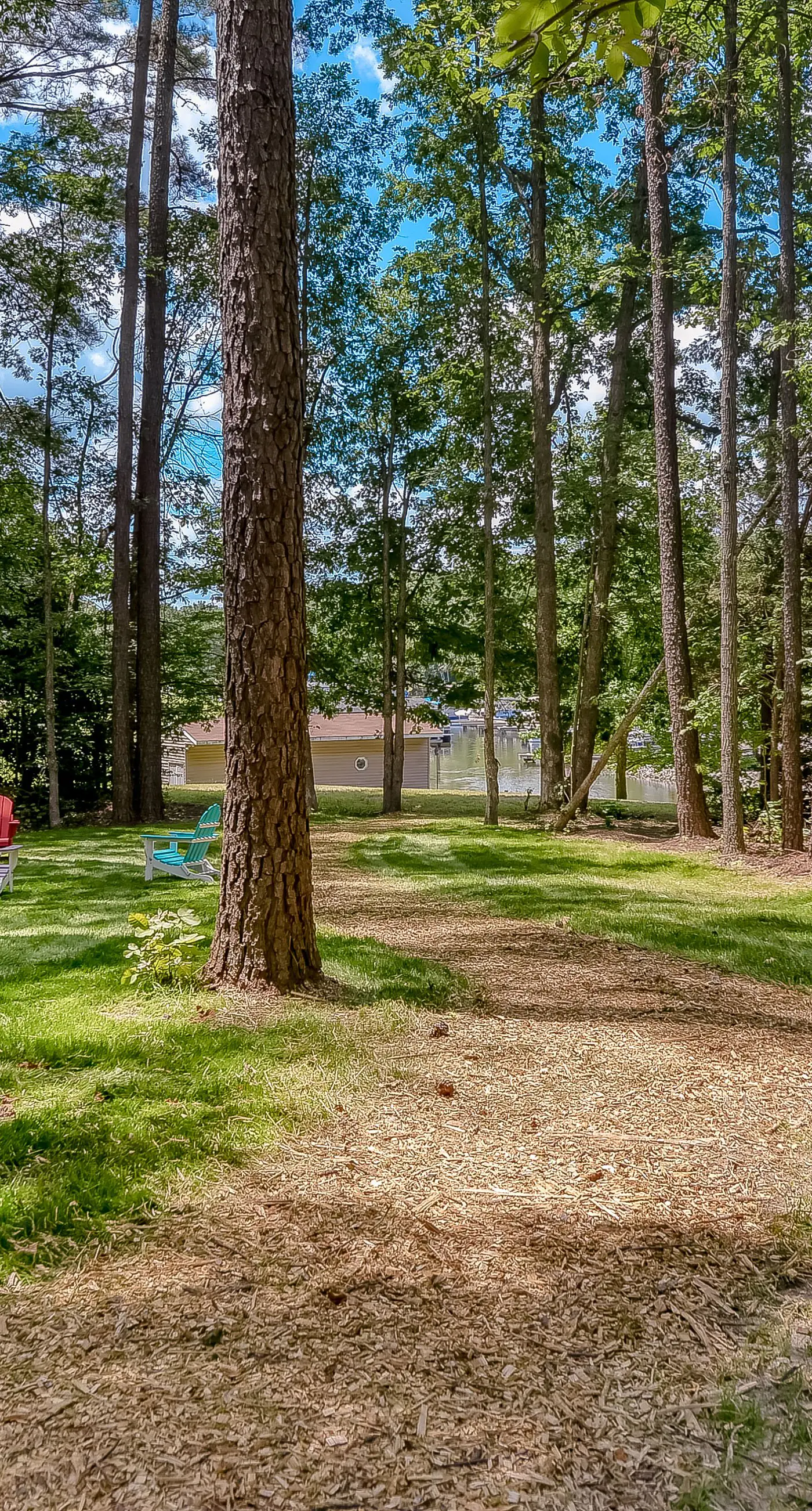 Patel's Cozy Cabin