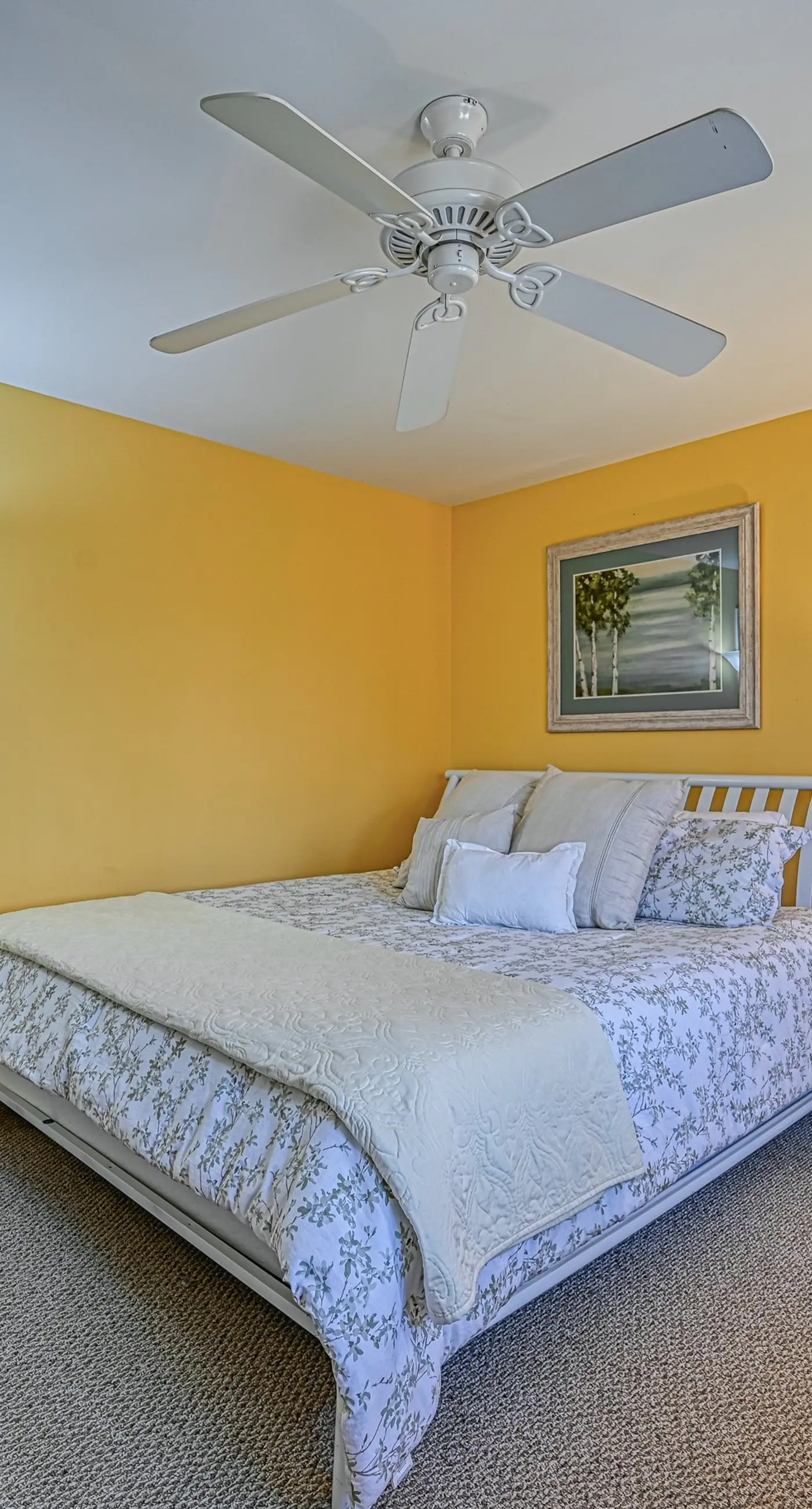 Straight to the Point