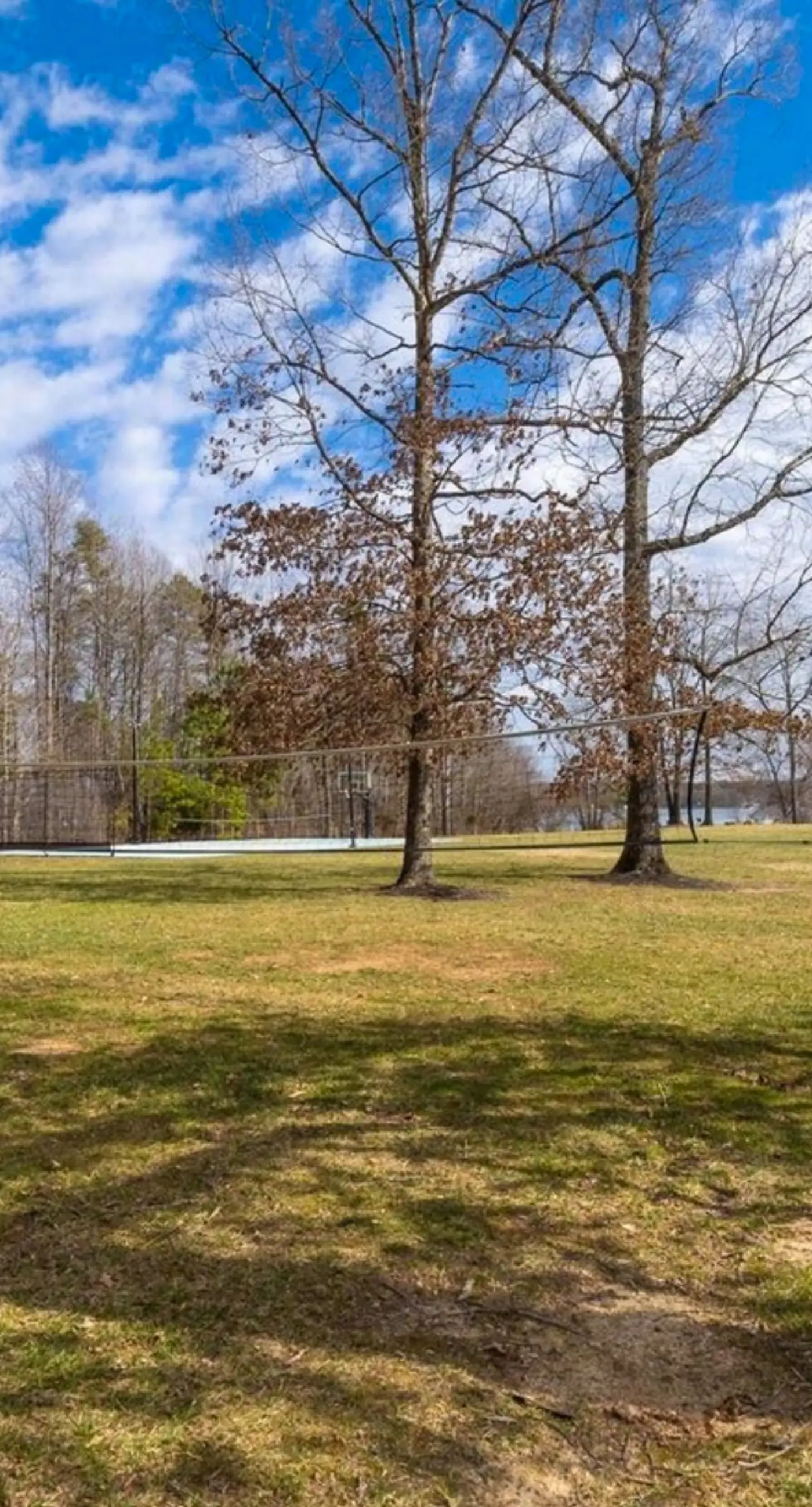 Straight to the Point