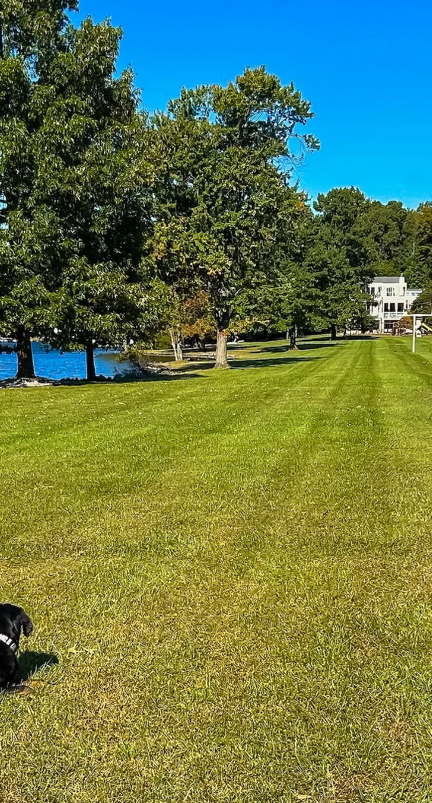 Straight to the Point