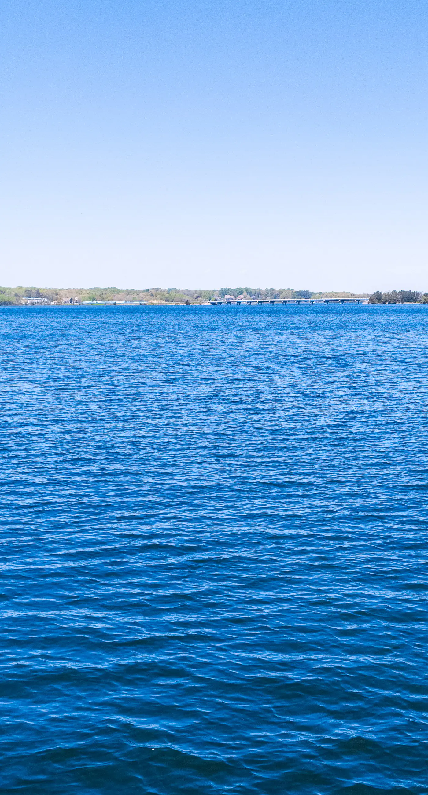 Better at the Lake