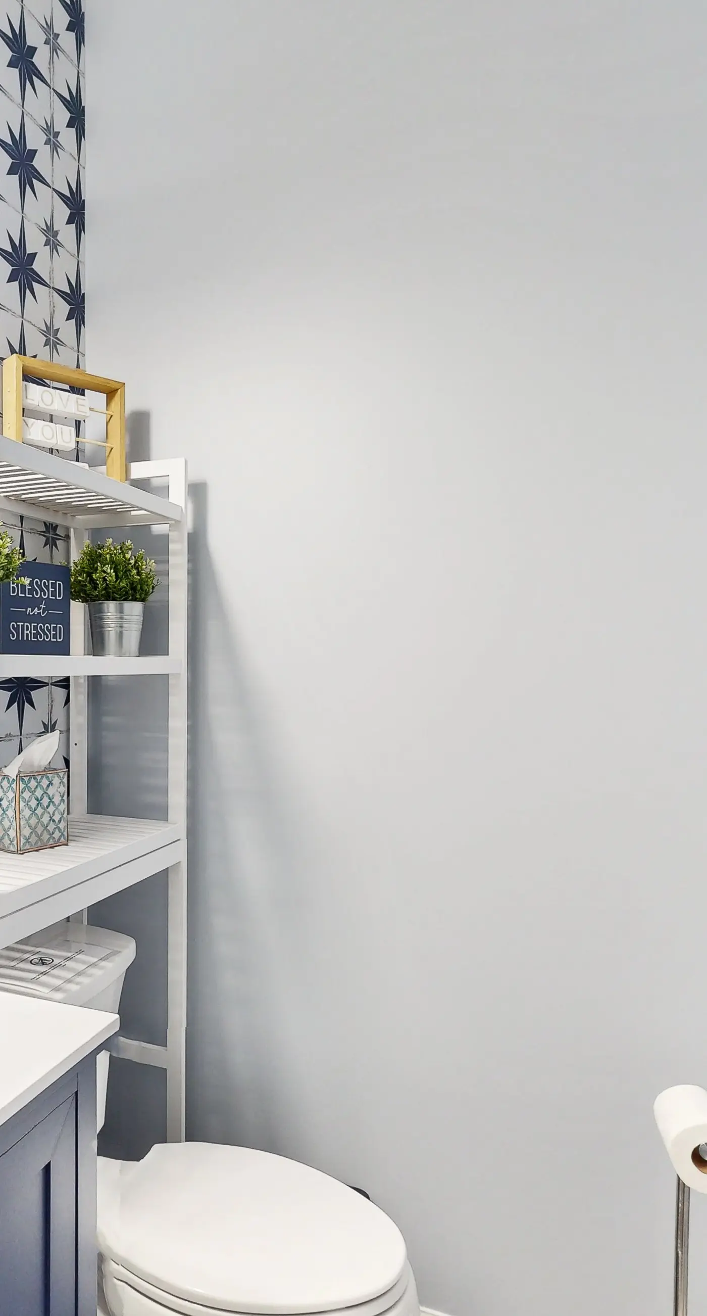 The BatCave at Lake Anna