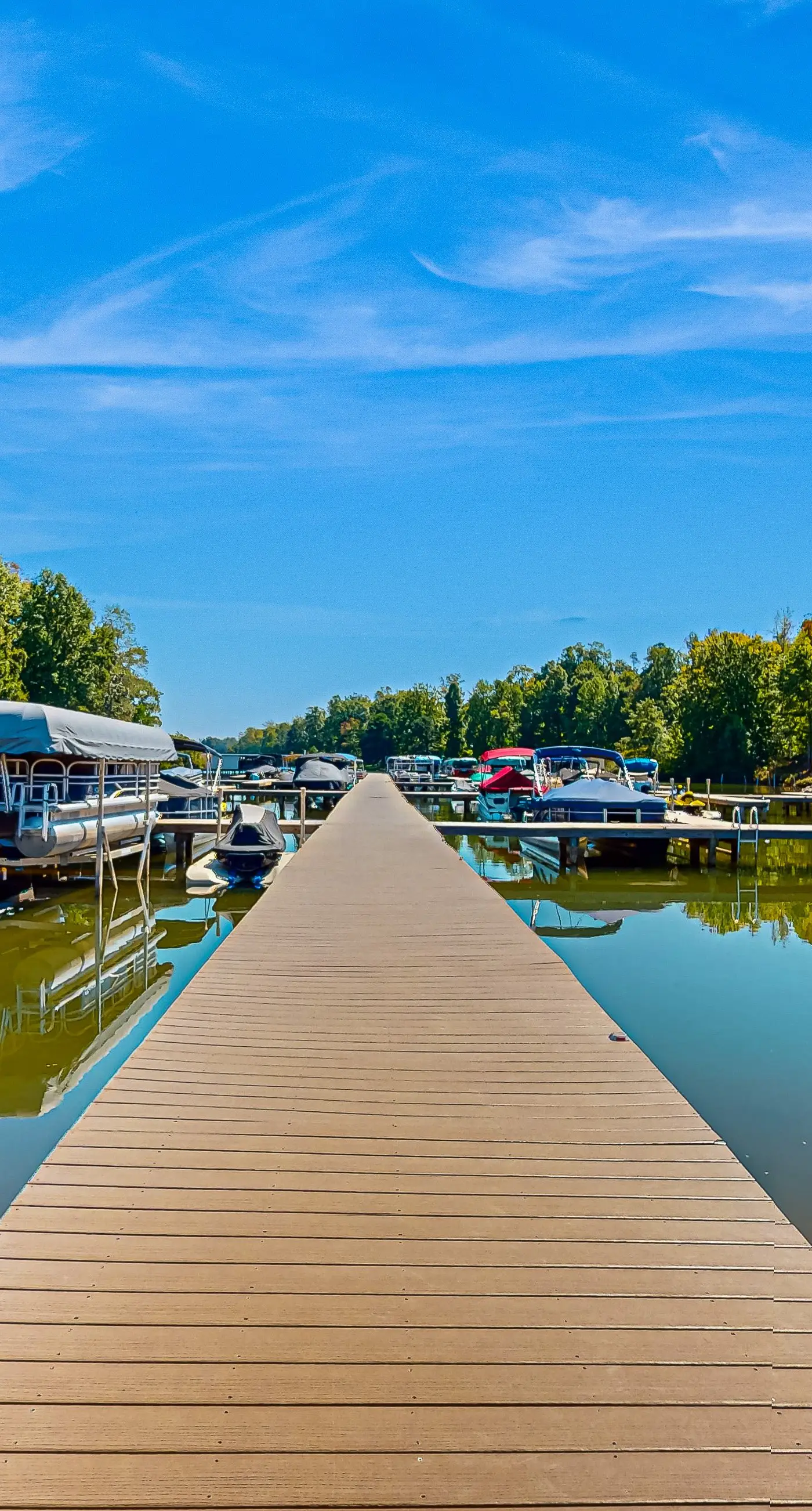 The BatCave at Lake Anna