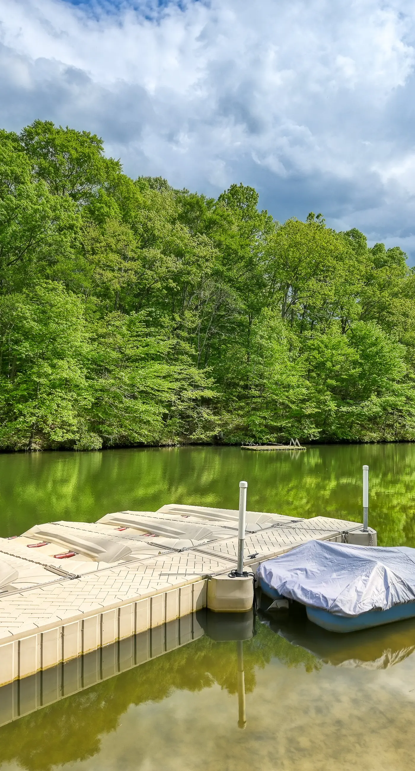 The Lakeside Oasis