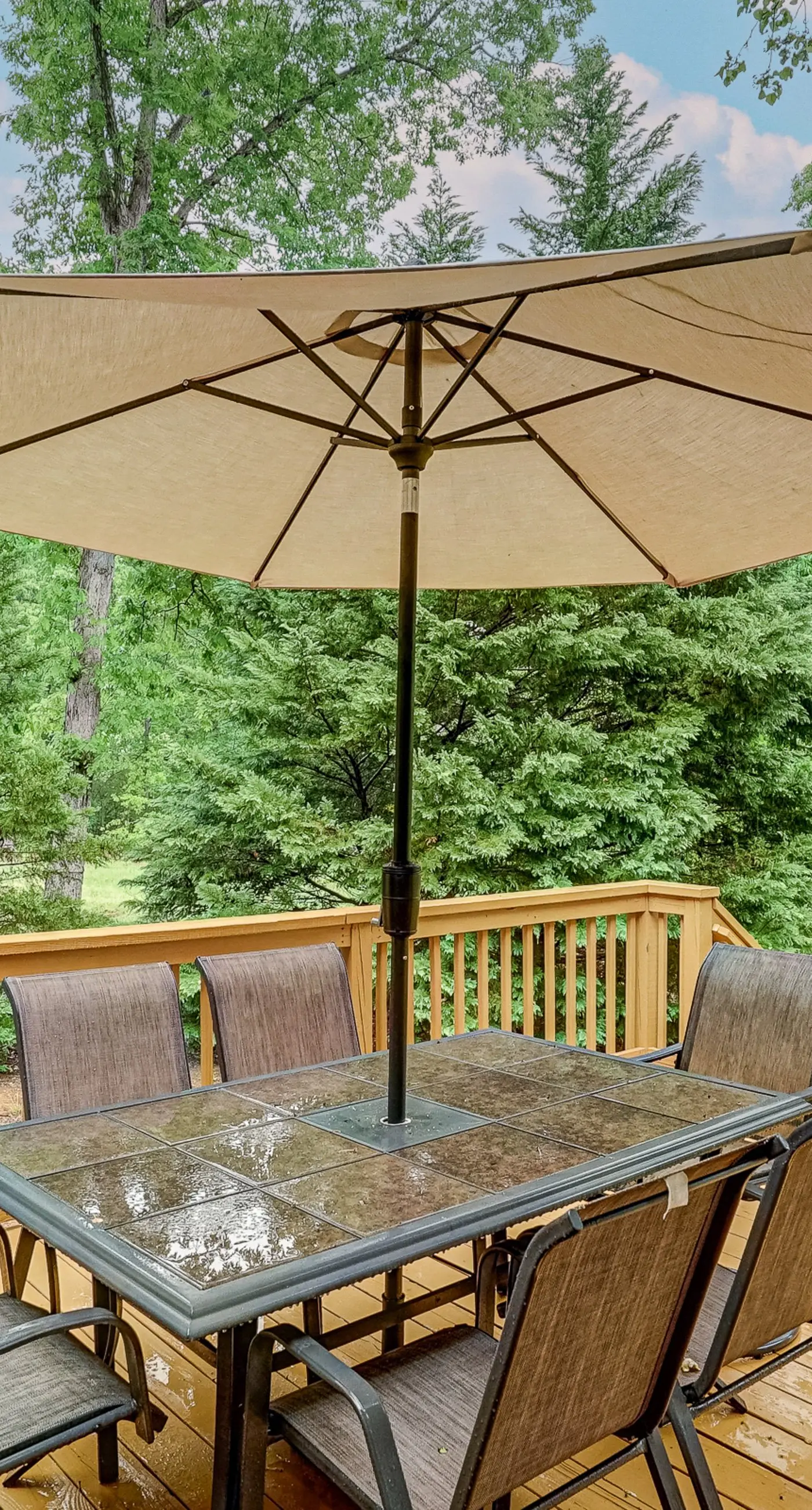 Lucky Penny at Lake Anna